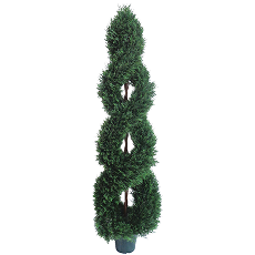 Double Pong Cypress Spiral Topiary