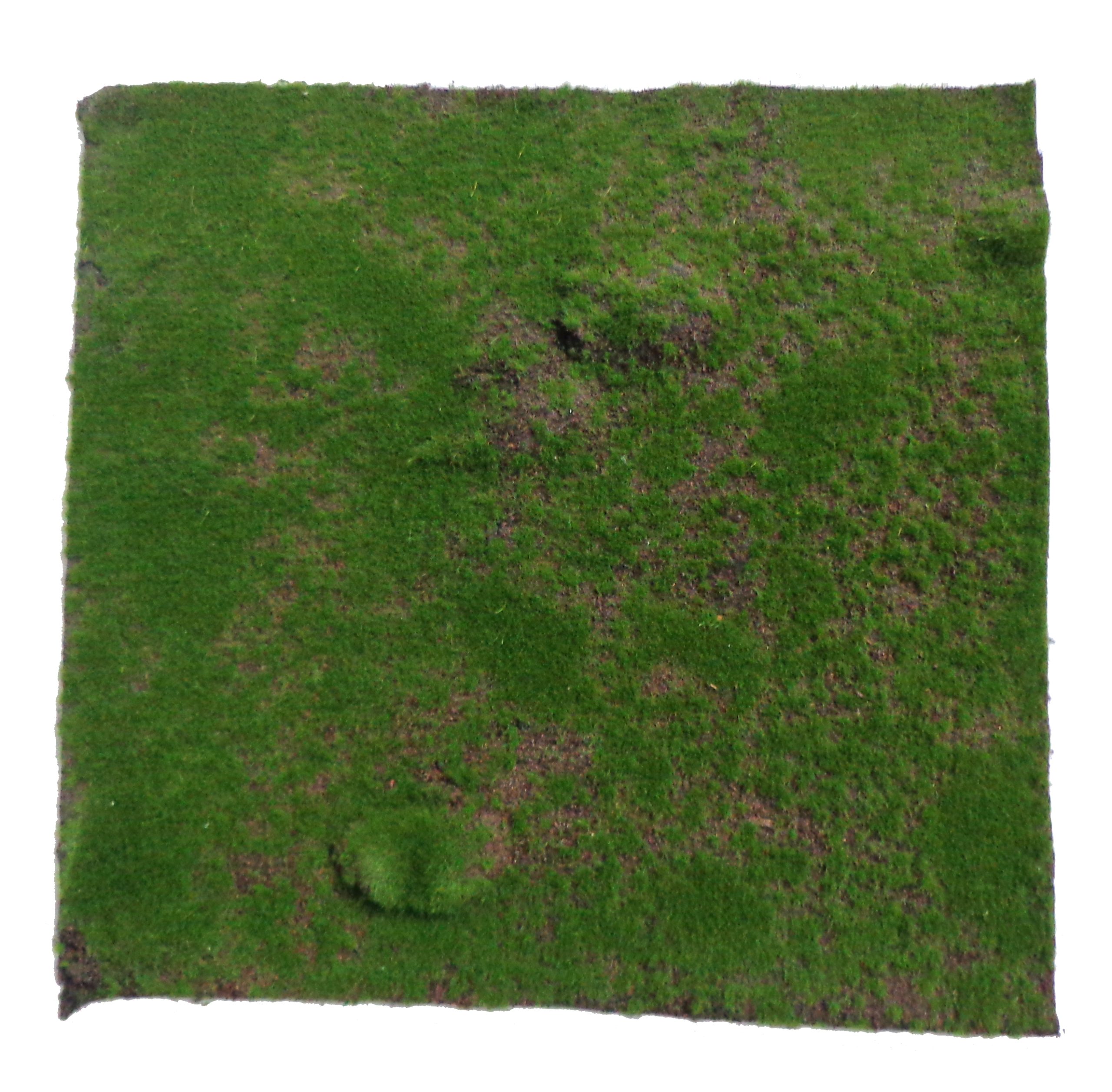 20” x 20” Moss Floor Mat