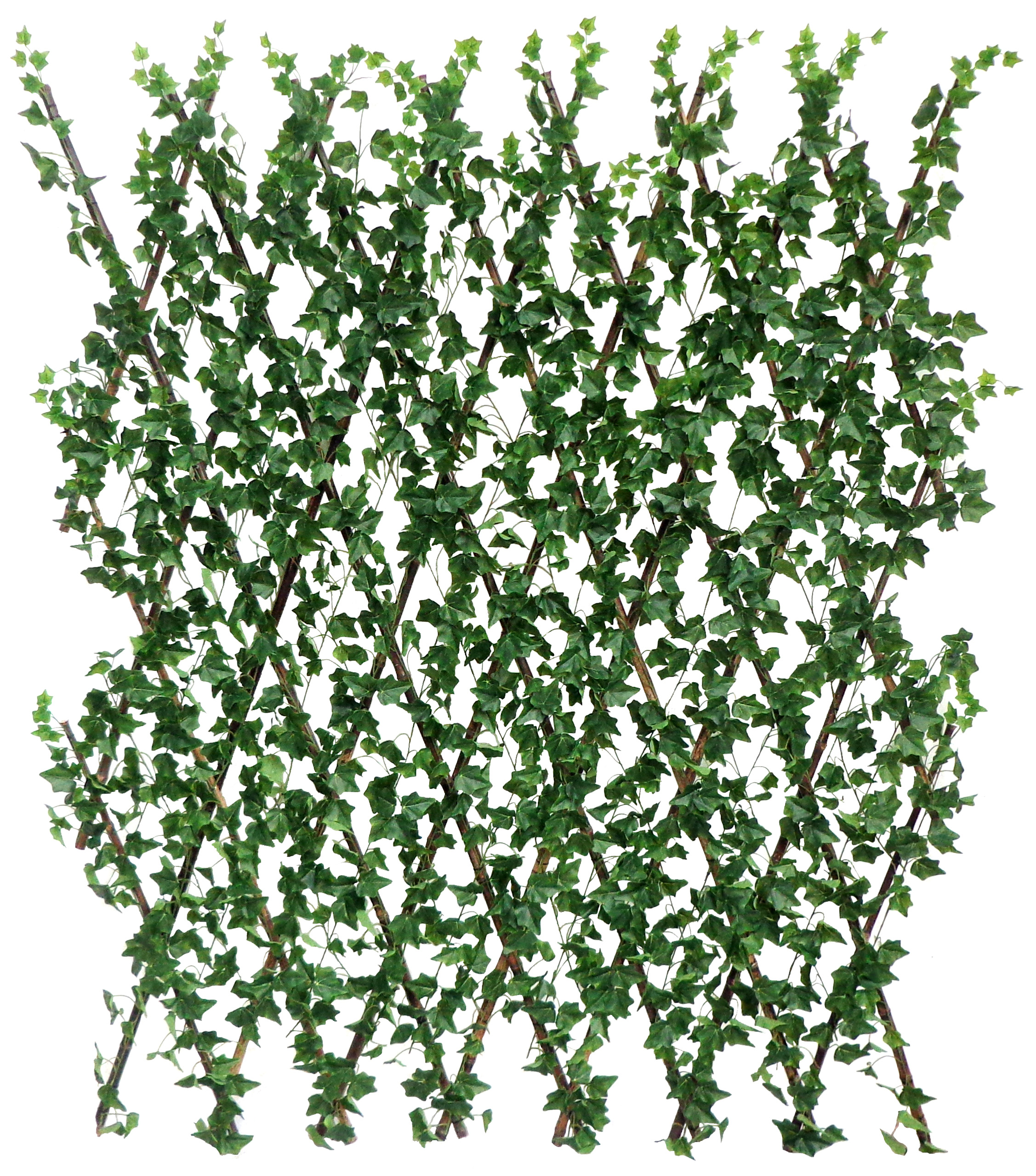 71” X 71” Waterproof and UV Resistant Plastic Film English Ivy Expandable Fence