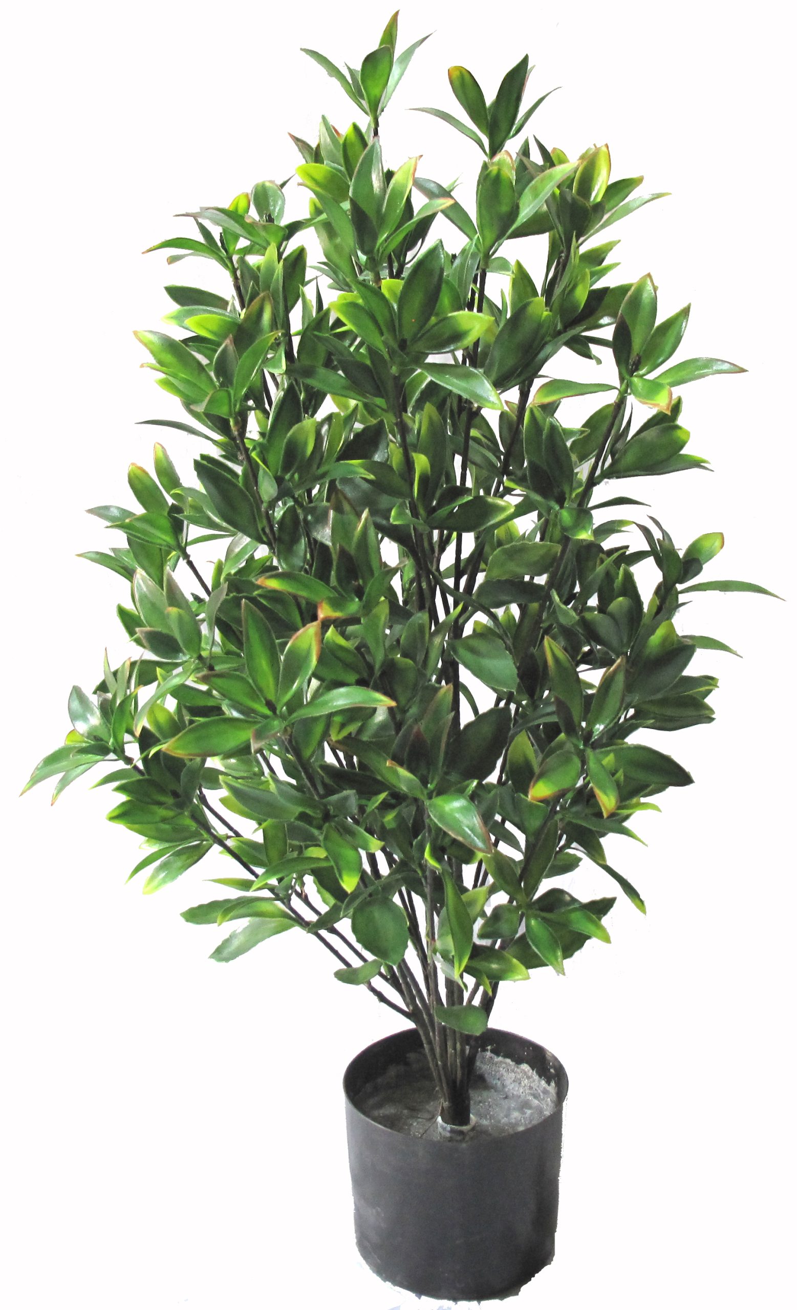31″ UV Resistant Plastic Magnolia Bush x8 w/ 180Lvs.