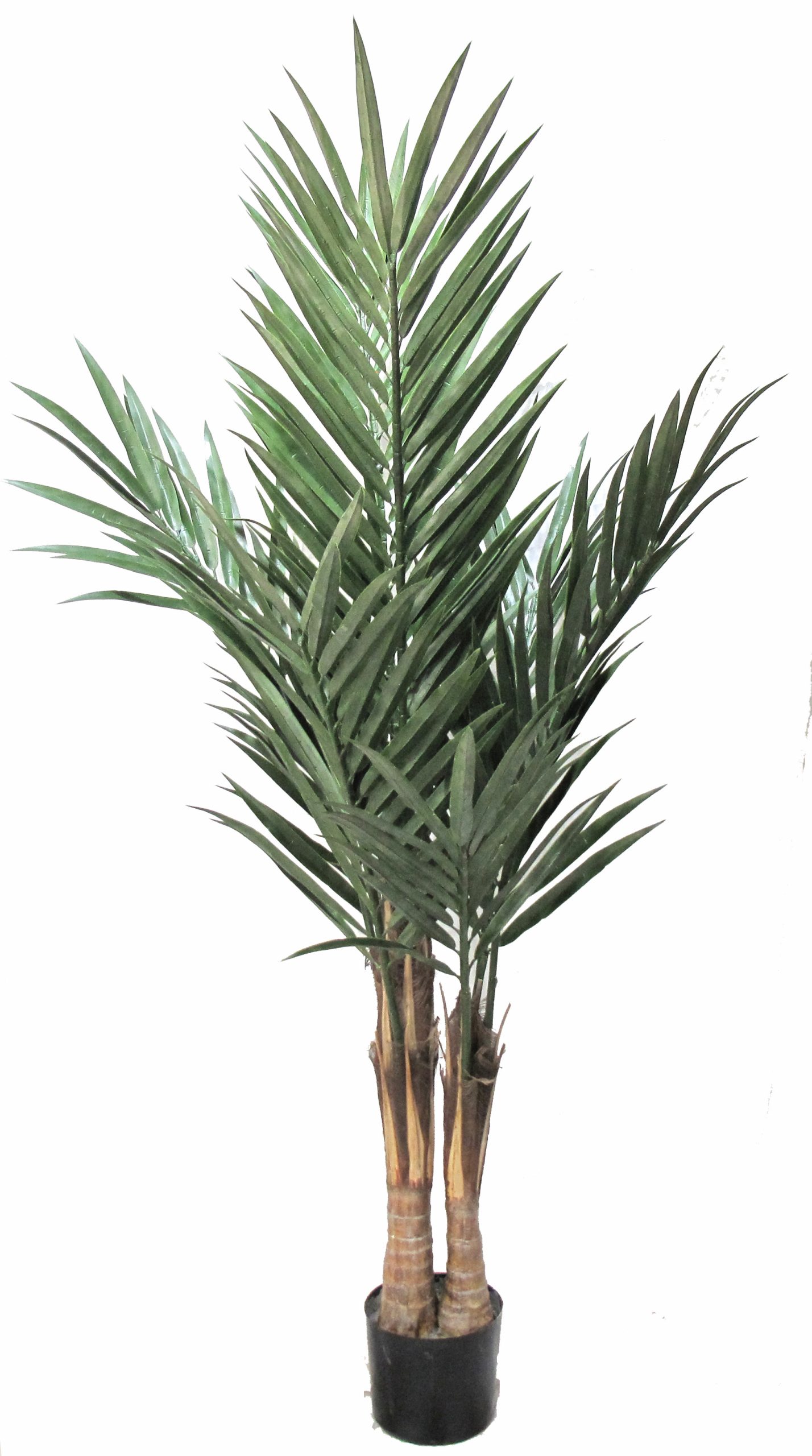 6 F.T. UV Resistant Plastic Kentia Palm x2 w/212Lvs