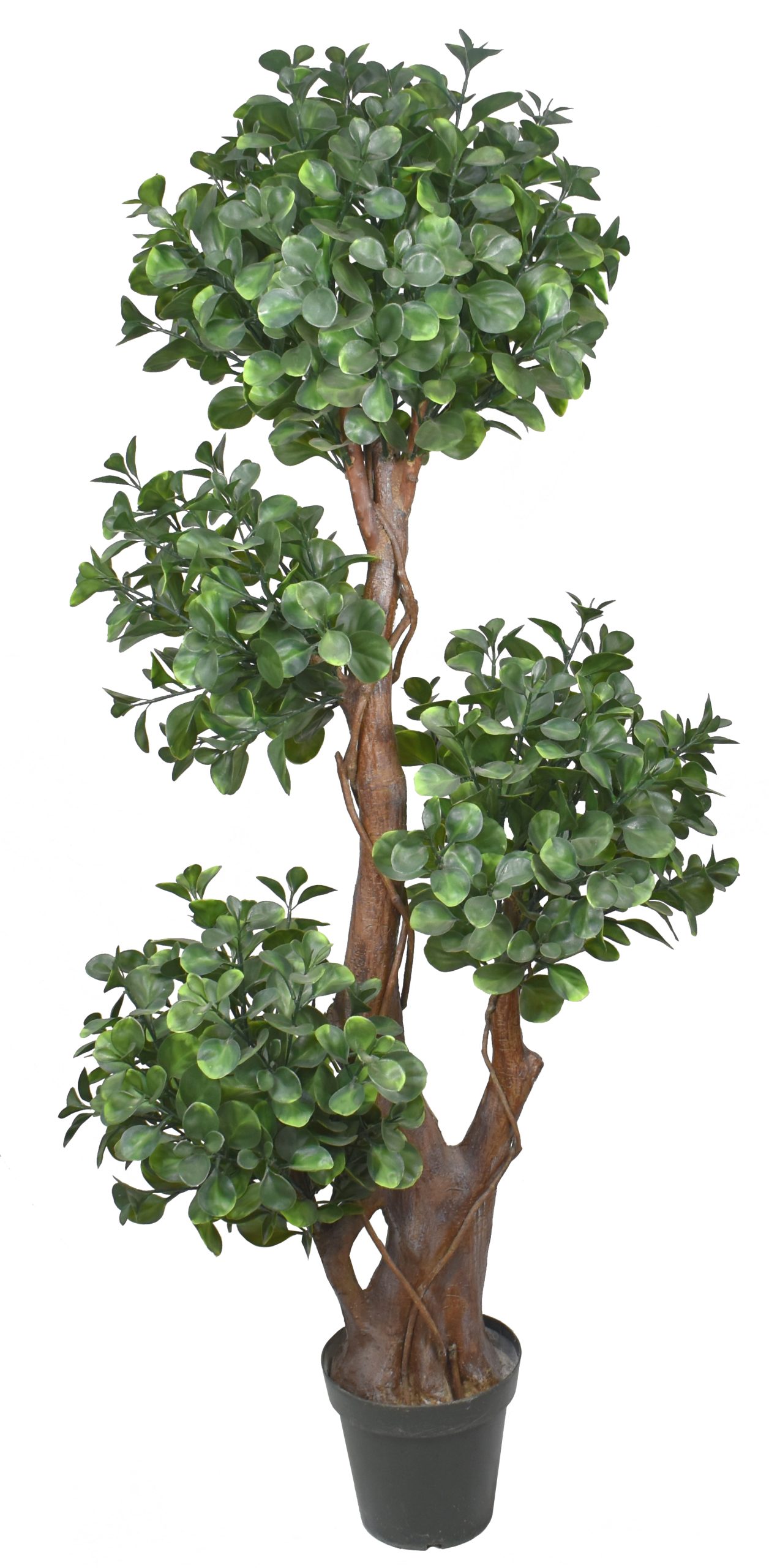 66″ UV Resistant Plastic Money Ficus Tree x4 w/1035 Lvs