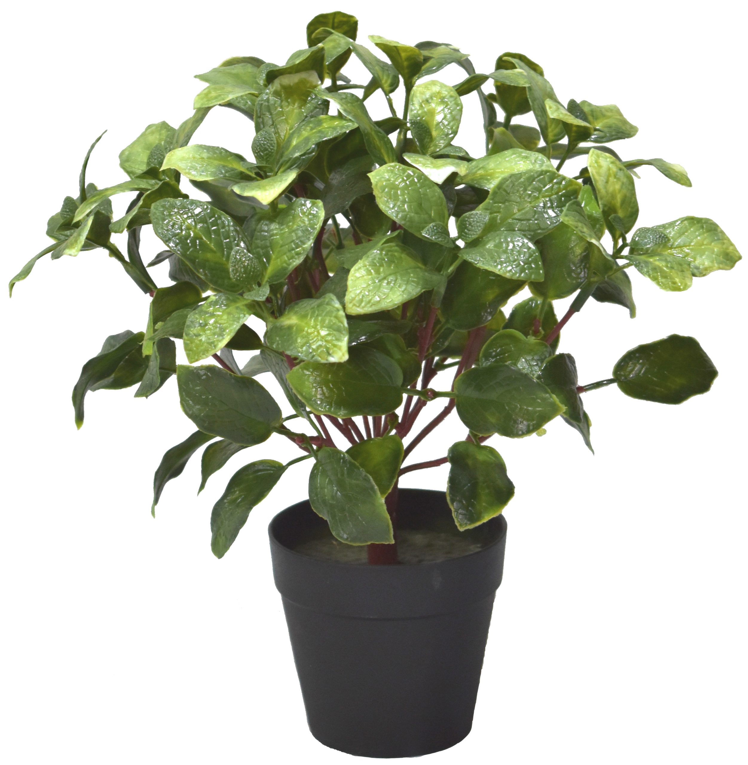 11″ UV Resistant Plastic Fittonia Leaf Bush x13 w/52Lvs.