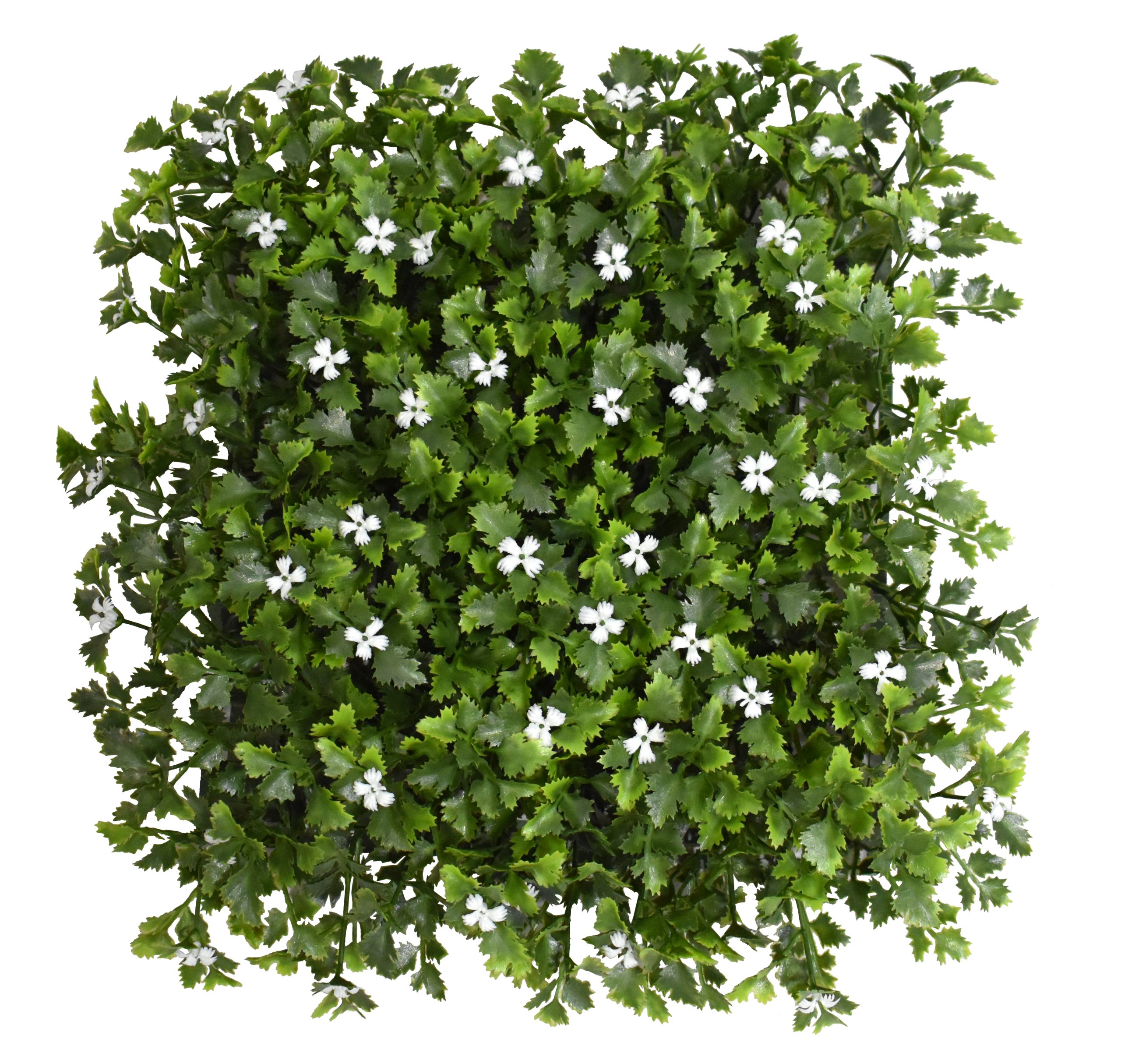 10.5″ x 10.5″ UV Resistant Plastic Parsley Floor Mat w/ 100Lvs. 50Flowers.