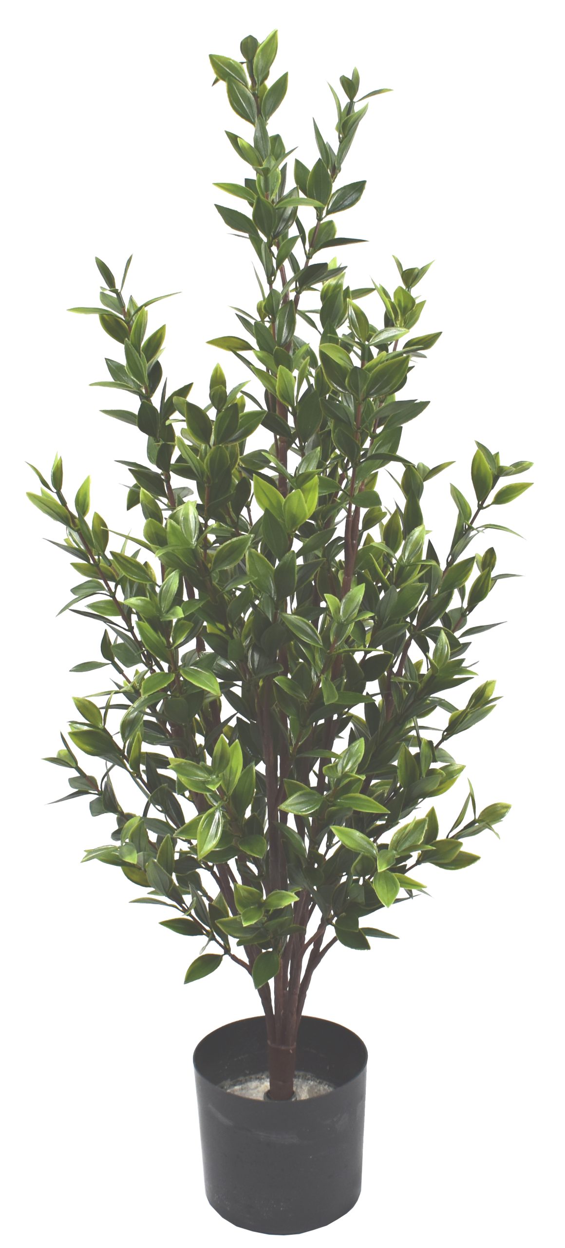 32″ UV Resistant Plastic Purple Brow Bush x8 w/300Lvs.