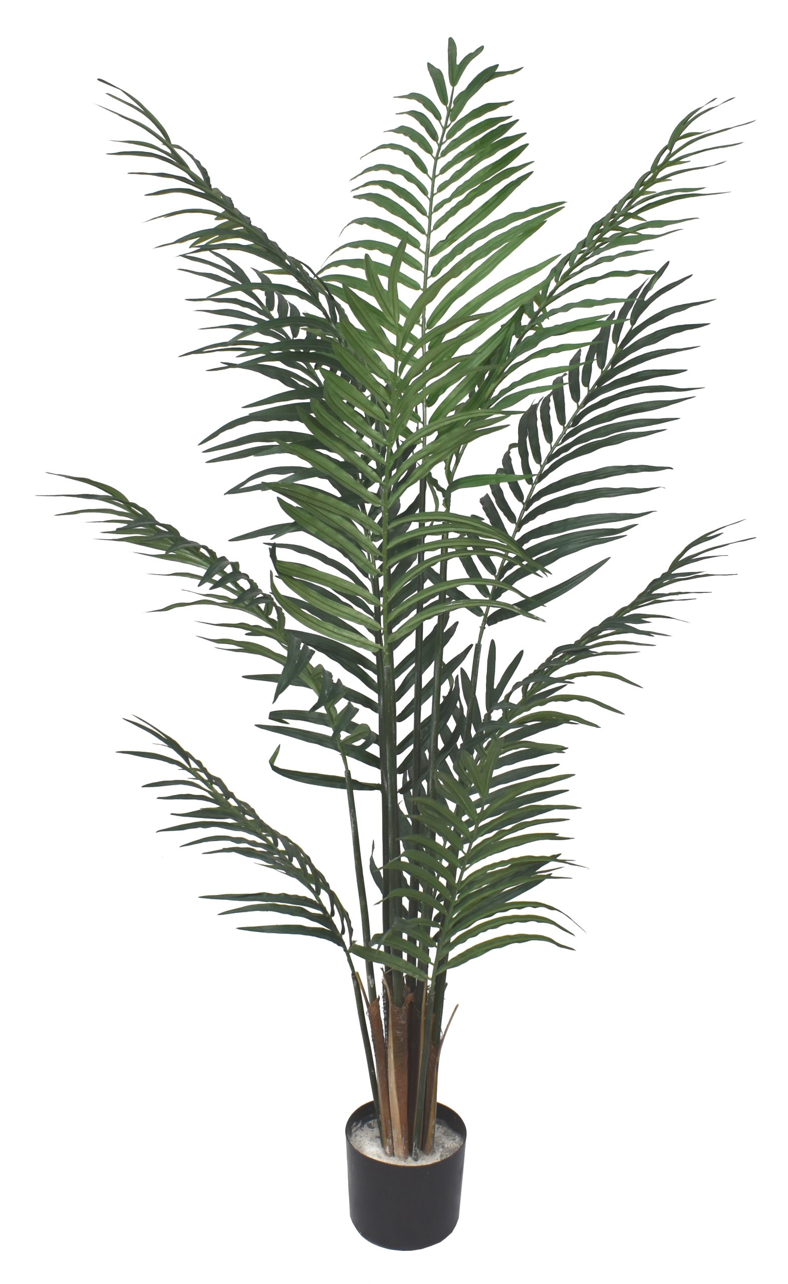 60″ Areca Palm Tree x12 w/360Lvs.