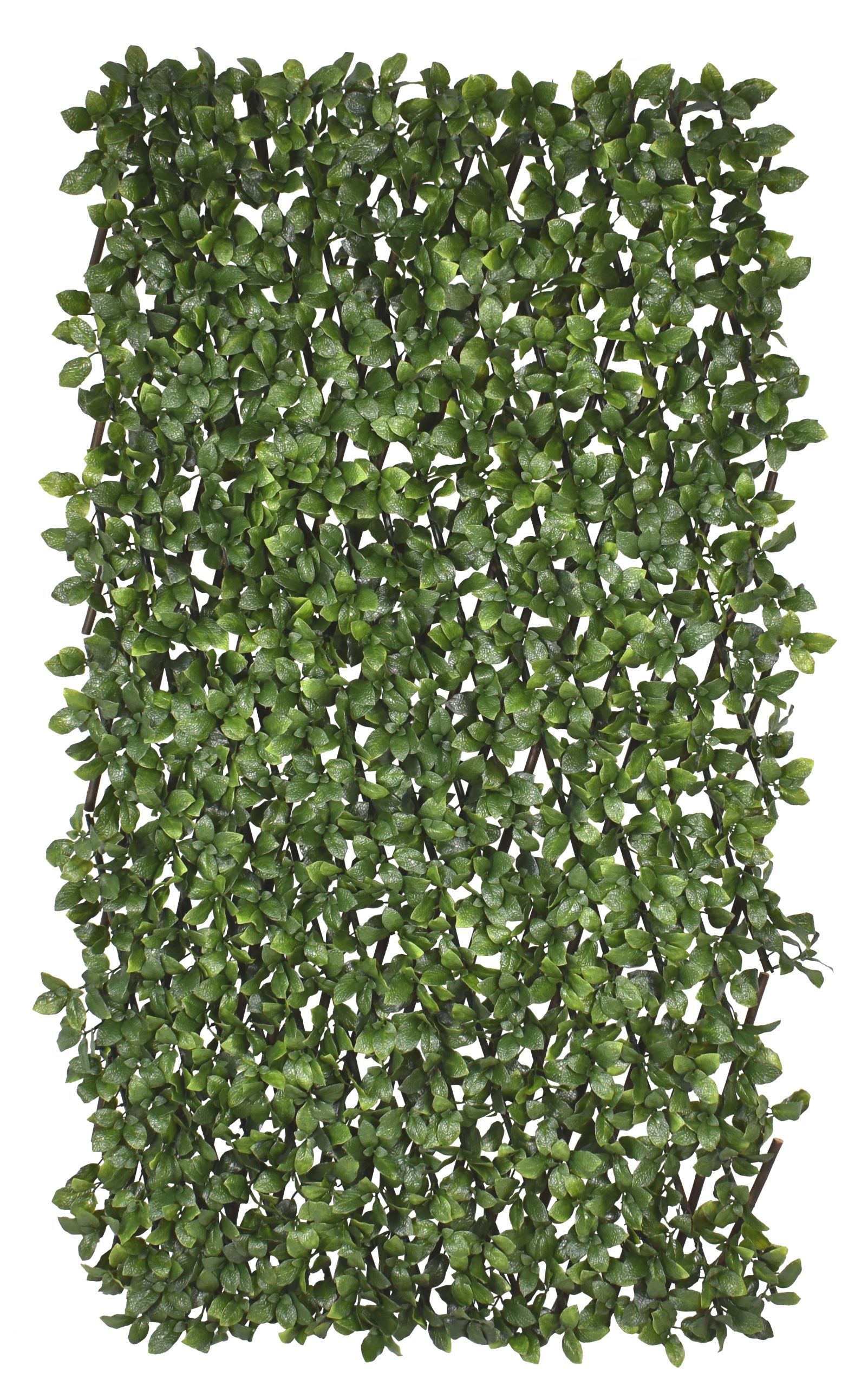 1M X 2M X 10CM UV Resistant Plastic Fittonia Leave Expandable Willow Fence w/ 833Lvs