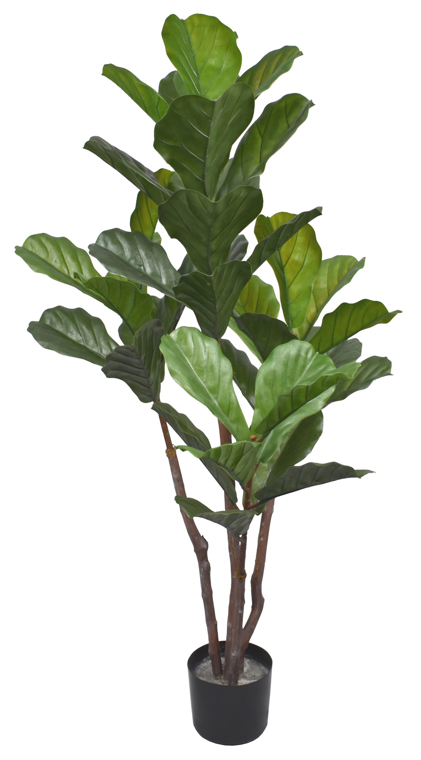 54″ UV Resistant Plastic Giant Fiddle Tree x4 w/38Lvs.