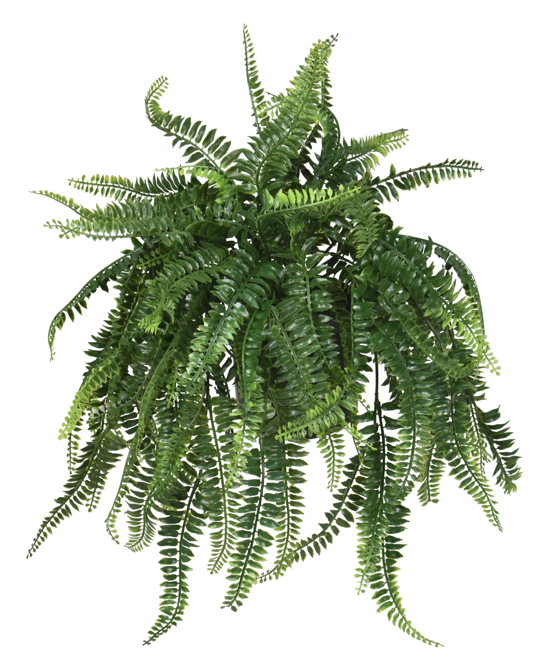 23.5″ UV Resistant Plastic Boston Fern Bush x18 w/92Lvs