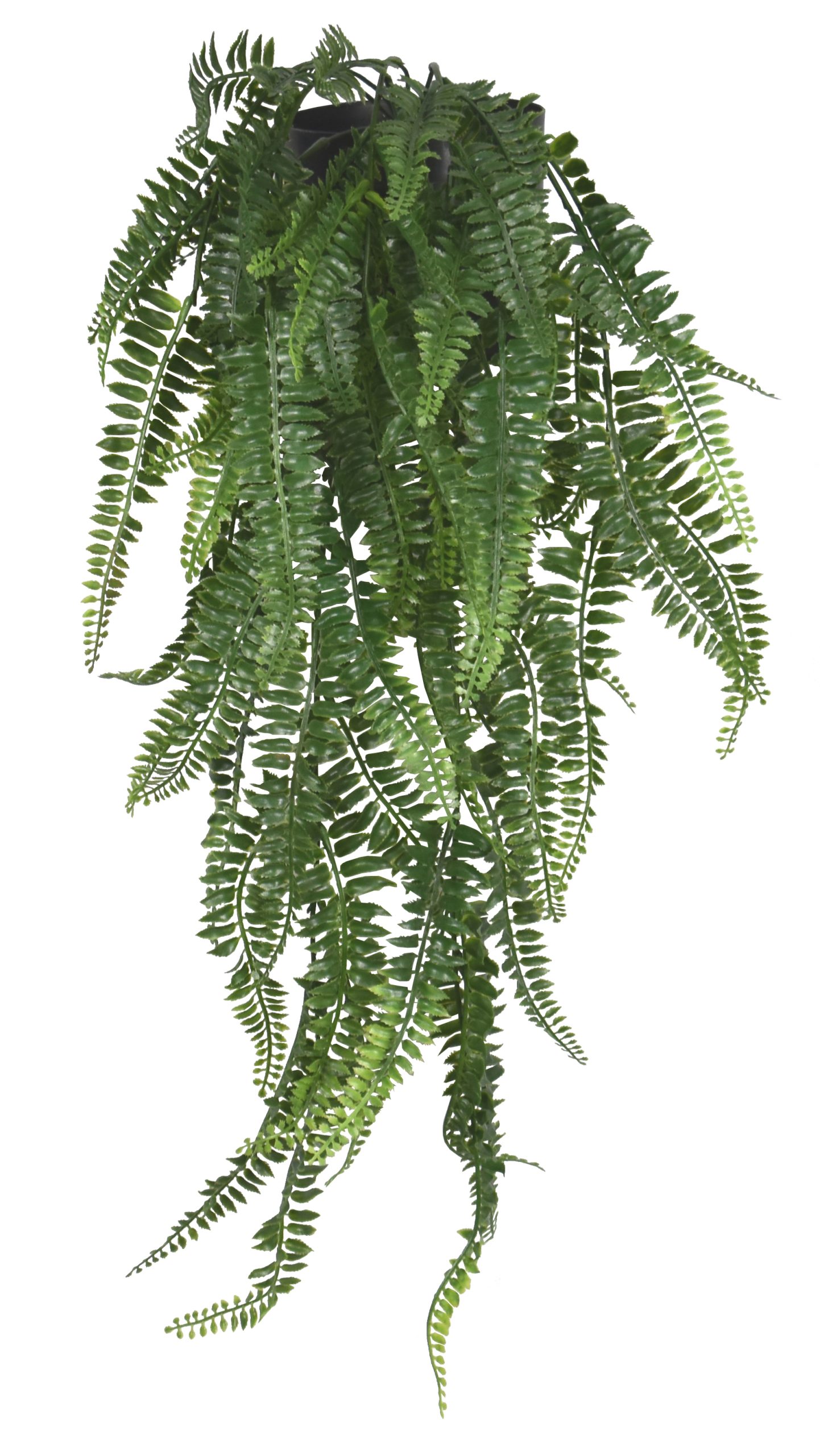 29″ UV Resistant Plastic Boston Fern Bush x8 w/68Lvs