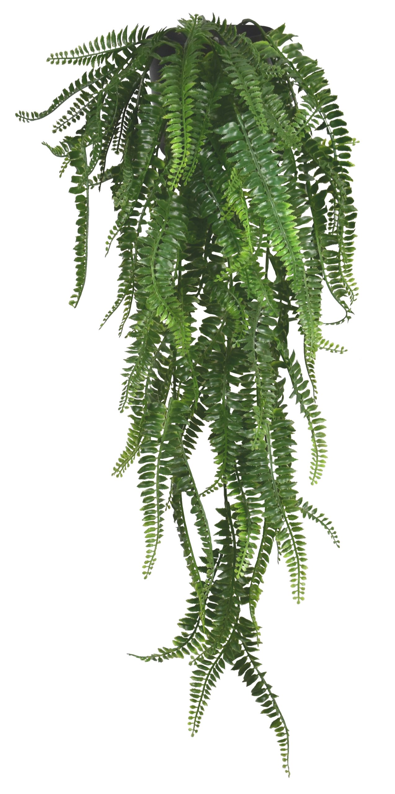 35.5″ UV Resistant Plastic Boston Fern Bush x8 w/77Lvs