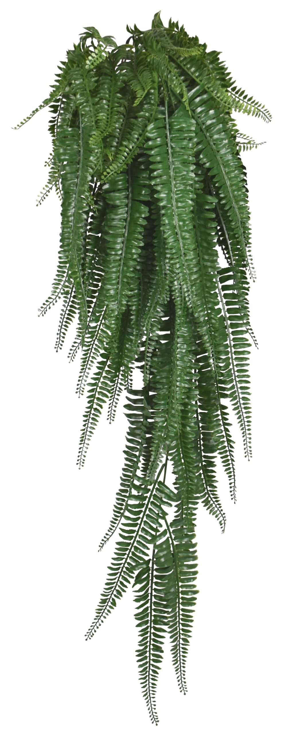 44″ UV Resistant Plastic Boston Fern Bush x13 w/77Lvs.