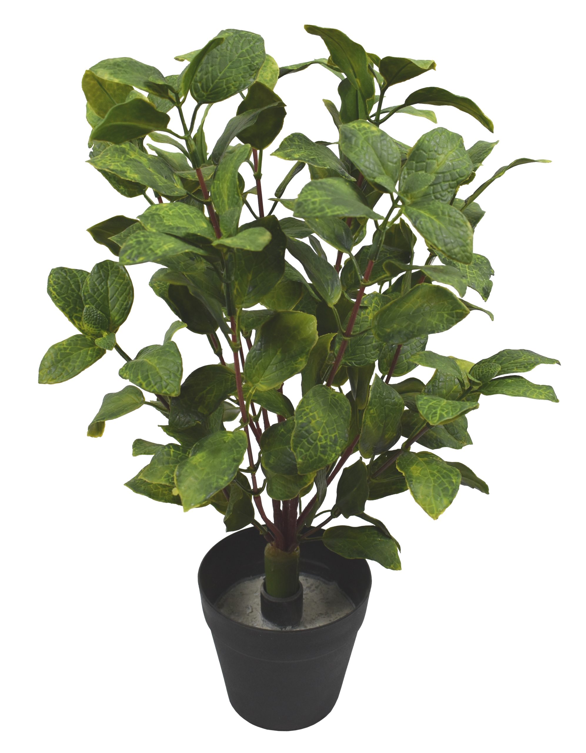 15″ UV Resistant Plastic Fittonia Leave Bush x12 W/ 108Lvs.