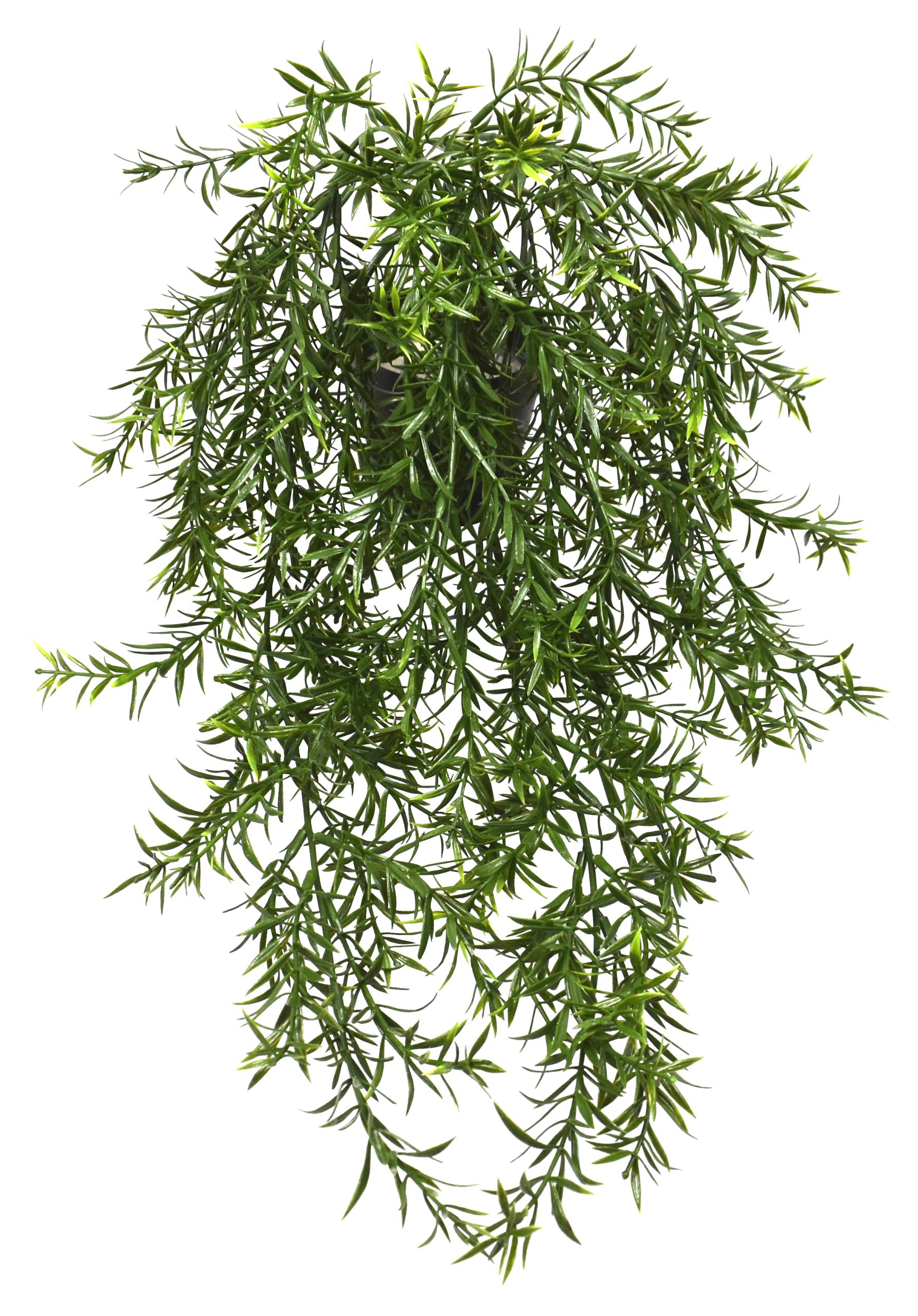 27″ UV Resistant Plastic Mini Plum Lily Bush x8 w/106Lvs.