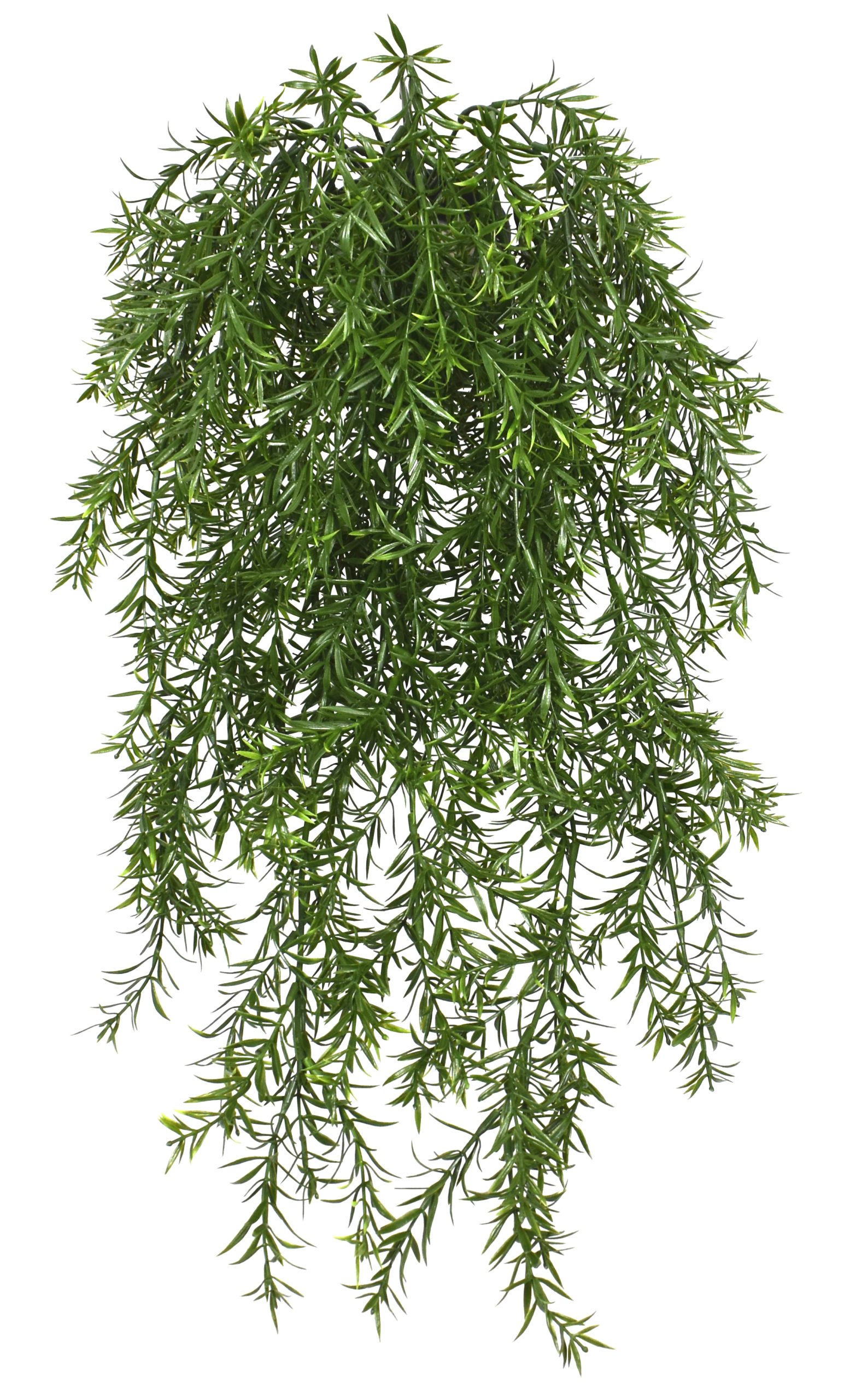36″ UV Resistant Plastic Mini Plum Lily Bush x13 w/211Lvs.
