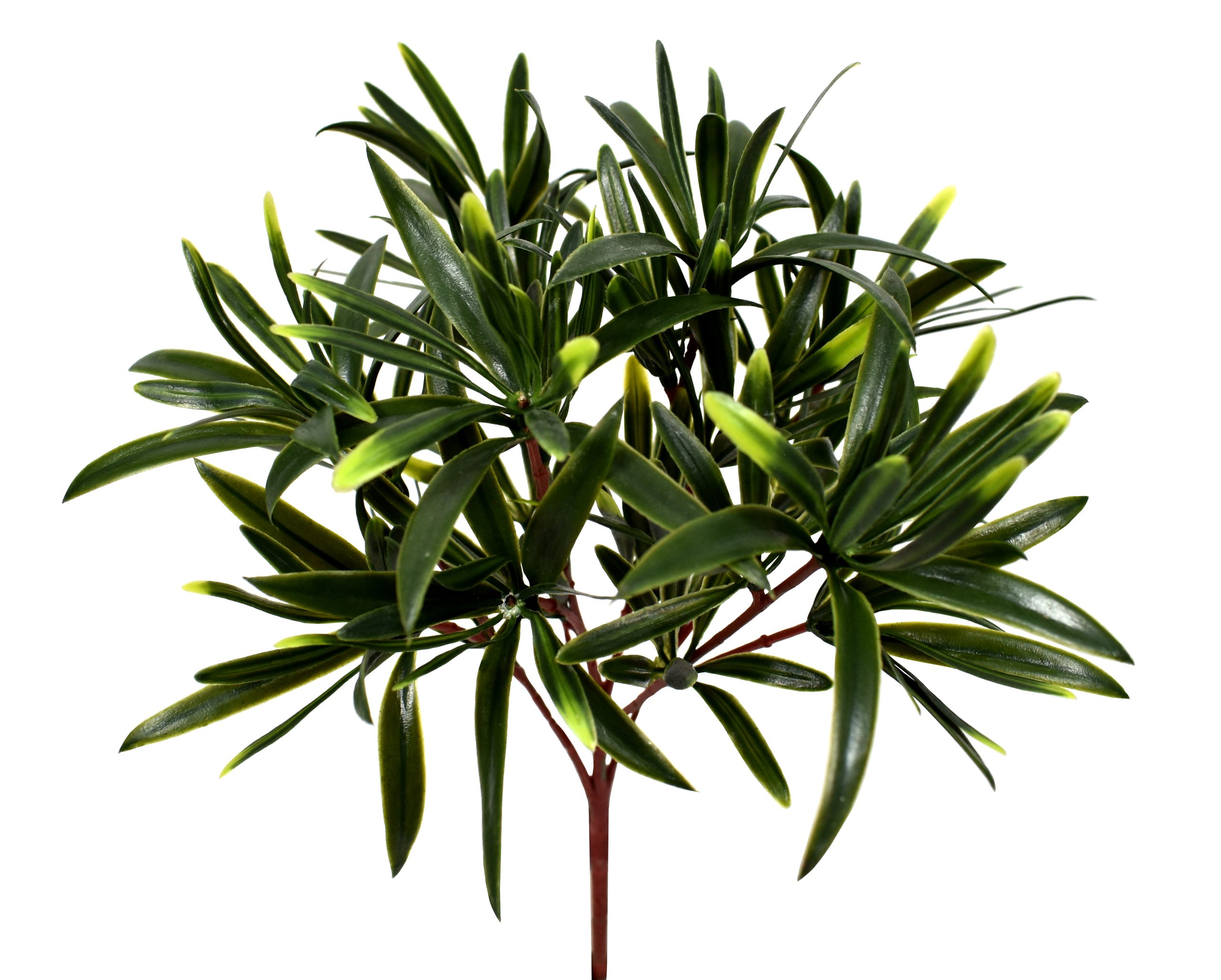 13.75″ UV Resistant Podocarpus Spray w/36Lvs.