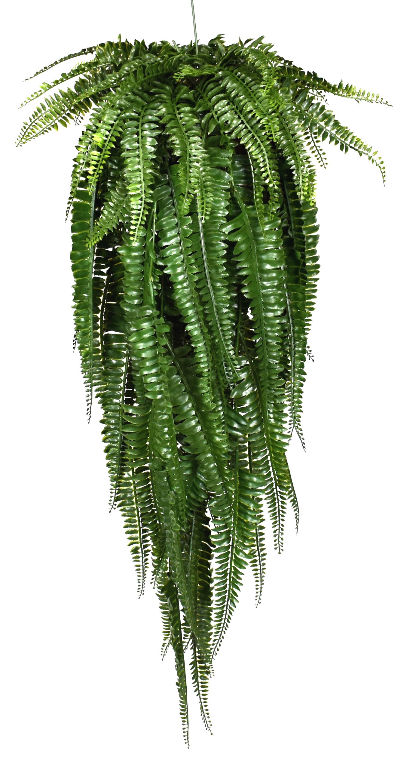 36″ UV Resistant Plastic Leather Fern hanging ball w/126Lvs. on natural vine based