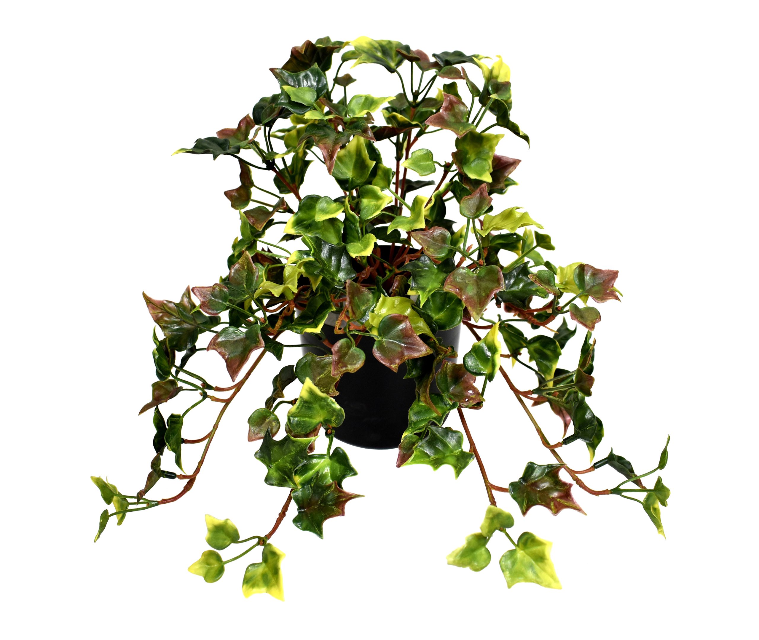 14.5″ UV Resistant Plastic English Ivy Bush x13 w/186Lvs.