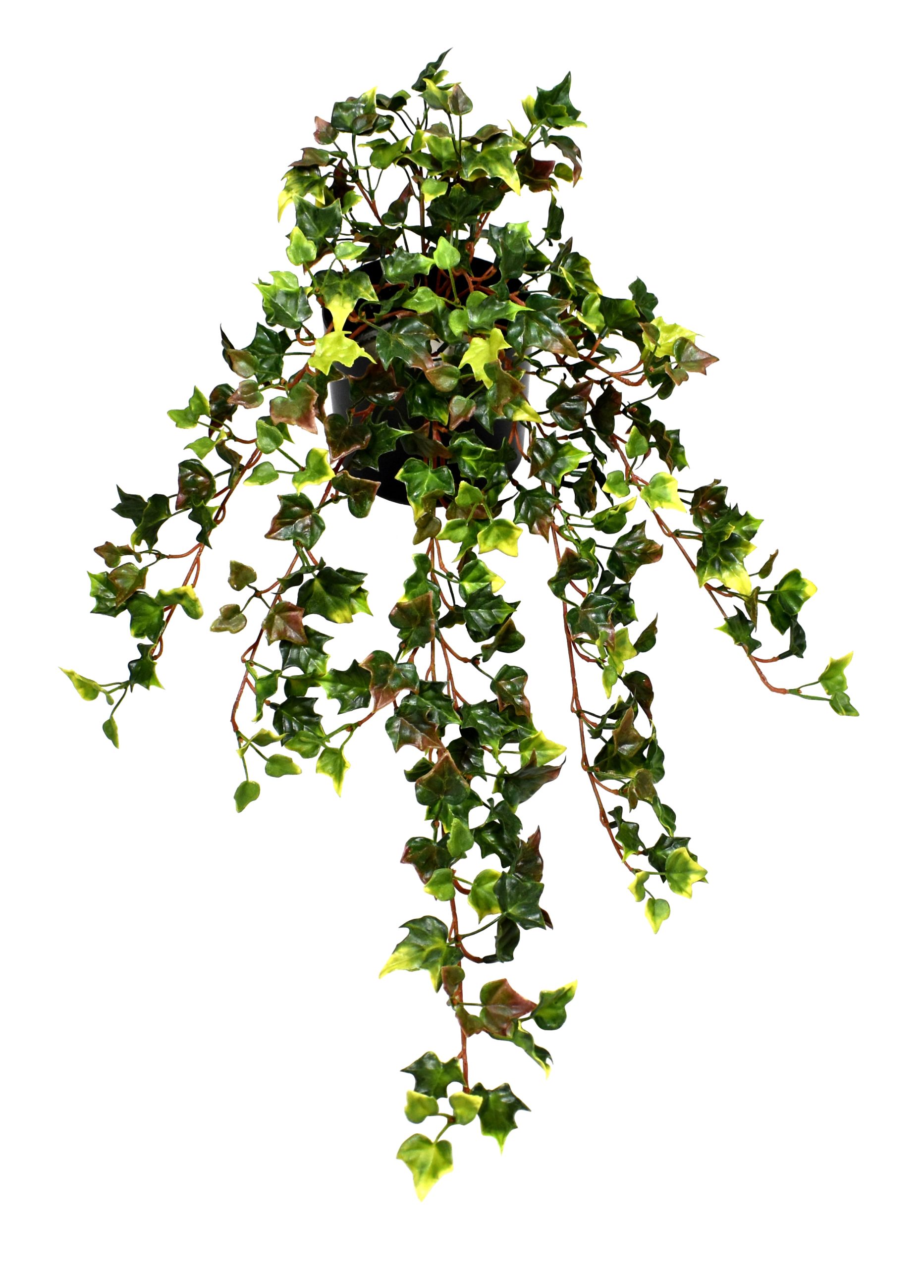 30″ UV Resistant Plastic English Ivy Bush x12 w/298Lvs.