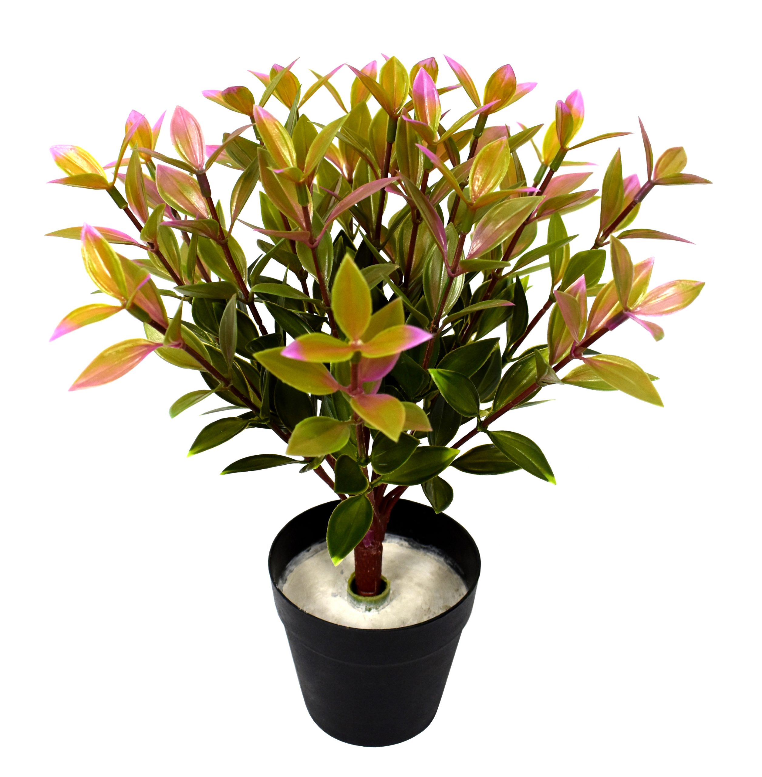 12″ UV Resistant Plastic Purple Brow Bush x18 w/90Lvs.