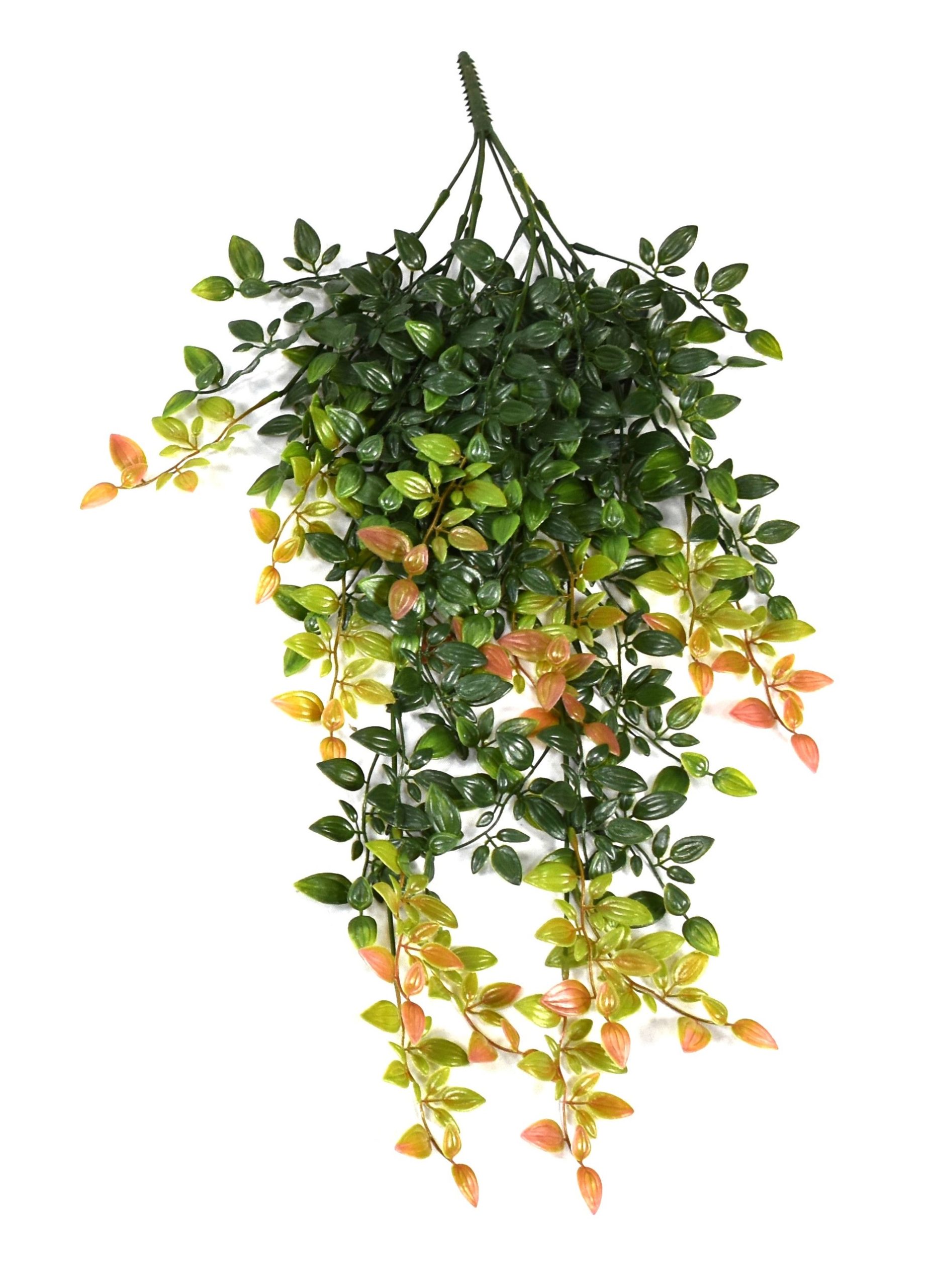 27″ UV Resistant Plastic Butch’s Broom Bush x8 w/62Lvs