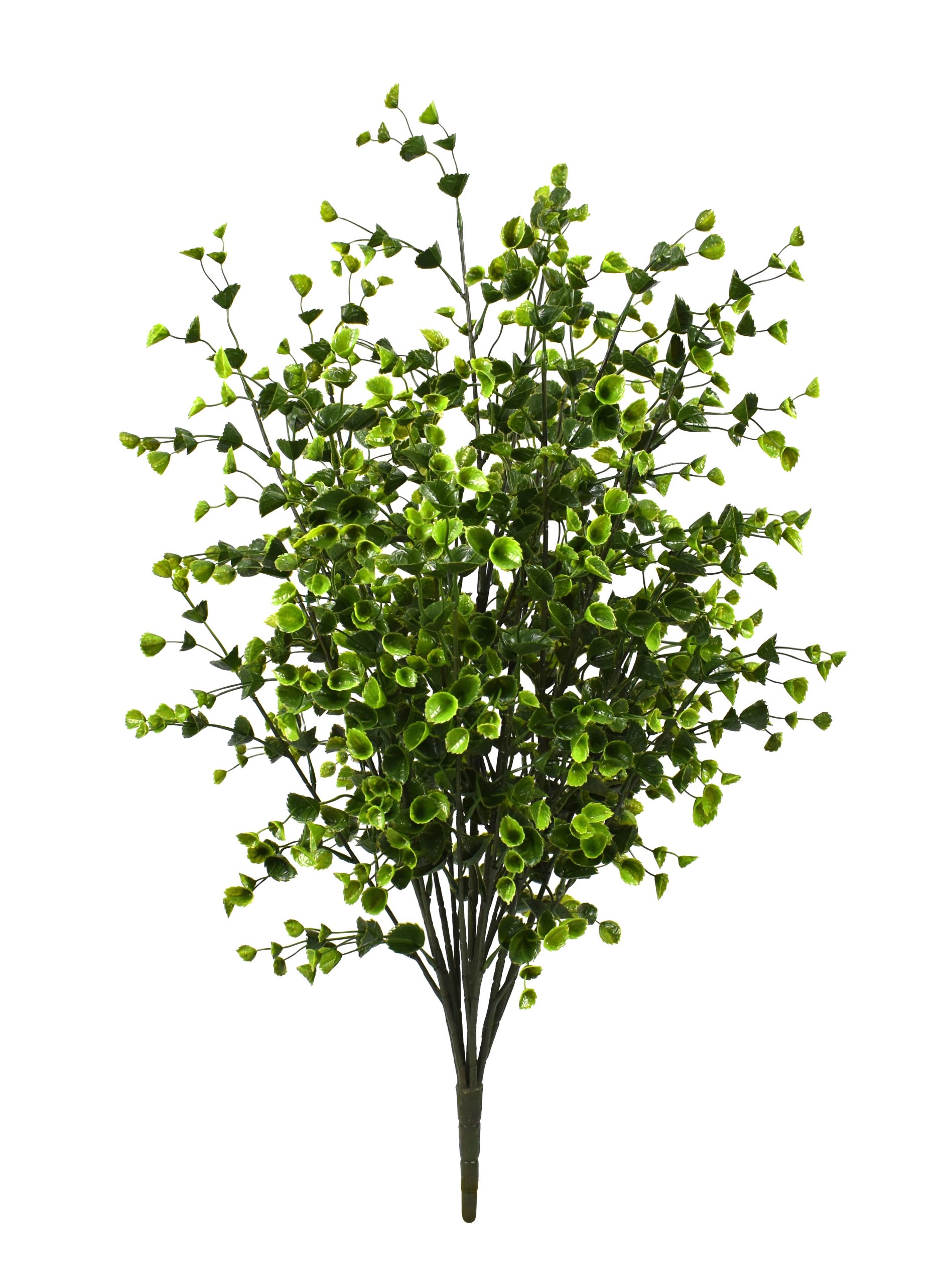 33.5″ UV Resistant Plastic Mini Green Spurge Bush x8 w/180Lvs.