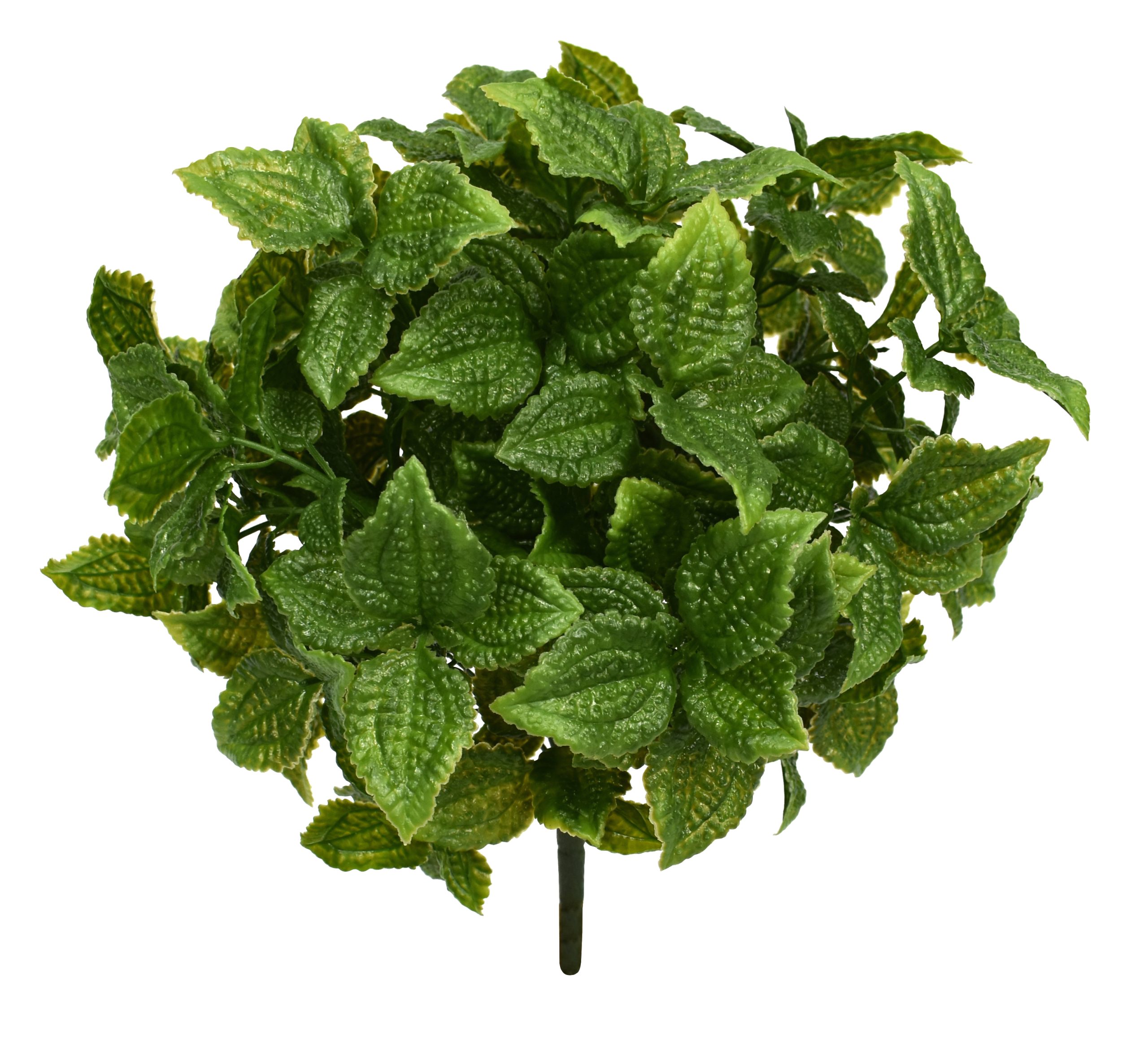 14″ UV Resistant Plastic Aluminium Pilea Bush x18 w/432Lvs.
