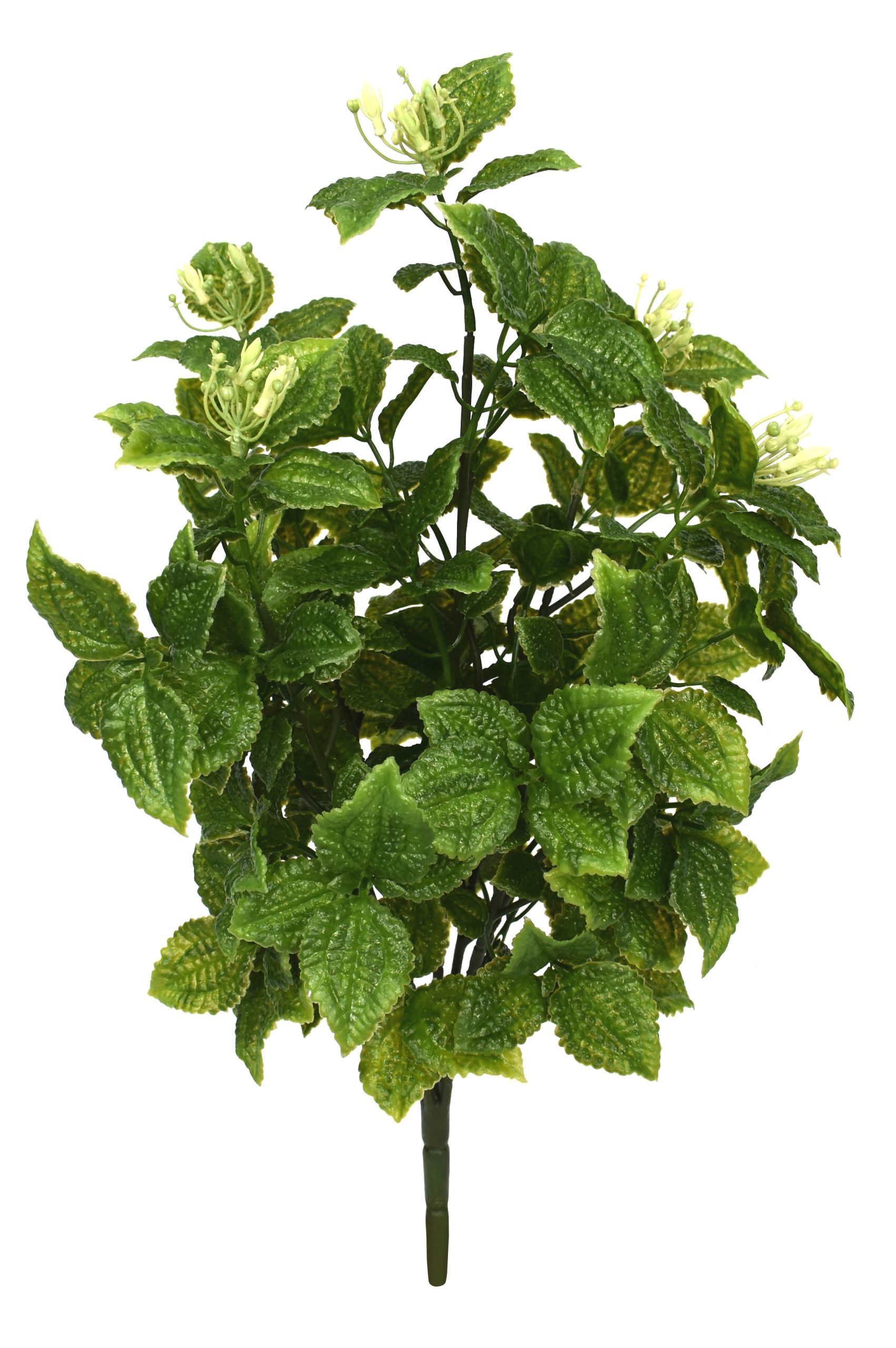 21″ UV Resistant Plastic Aluminium Pilea Bush x5 w/384Lvs. 5Flowers.