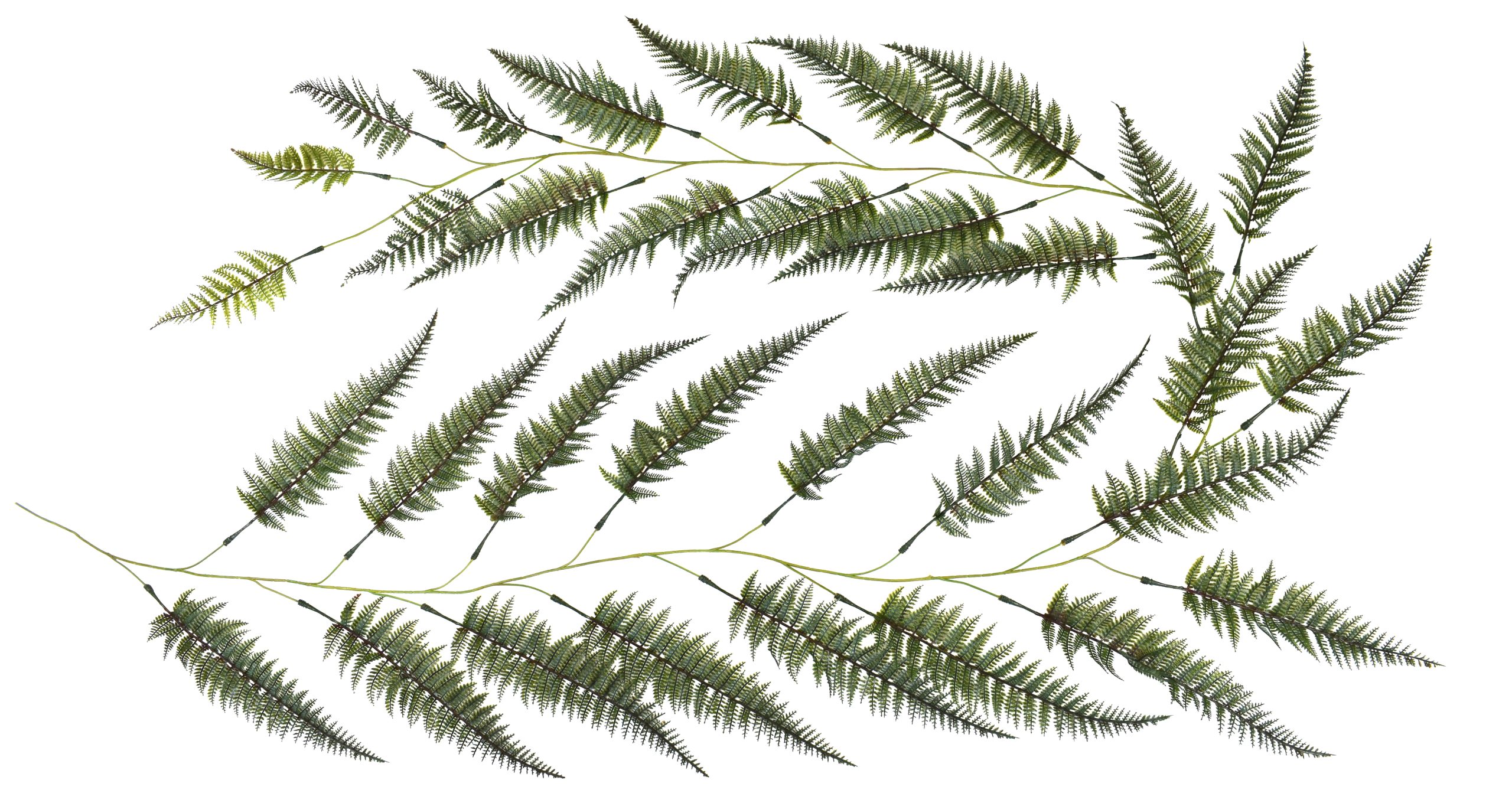 120″ UV Resistant Plastic Leather Fern Garland w/33Lvs.