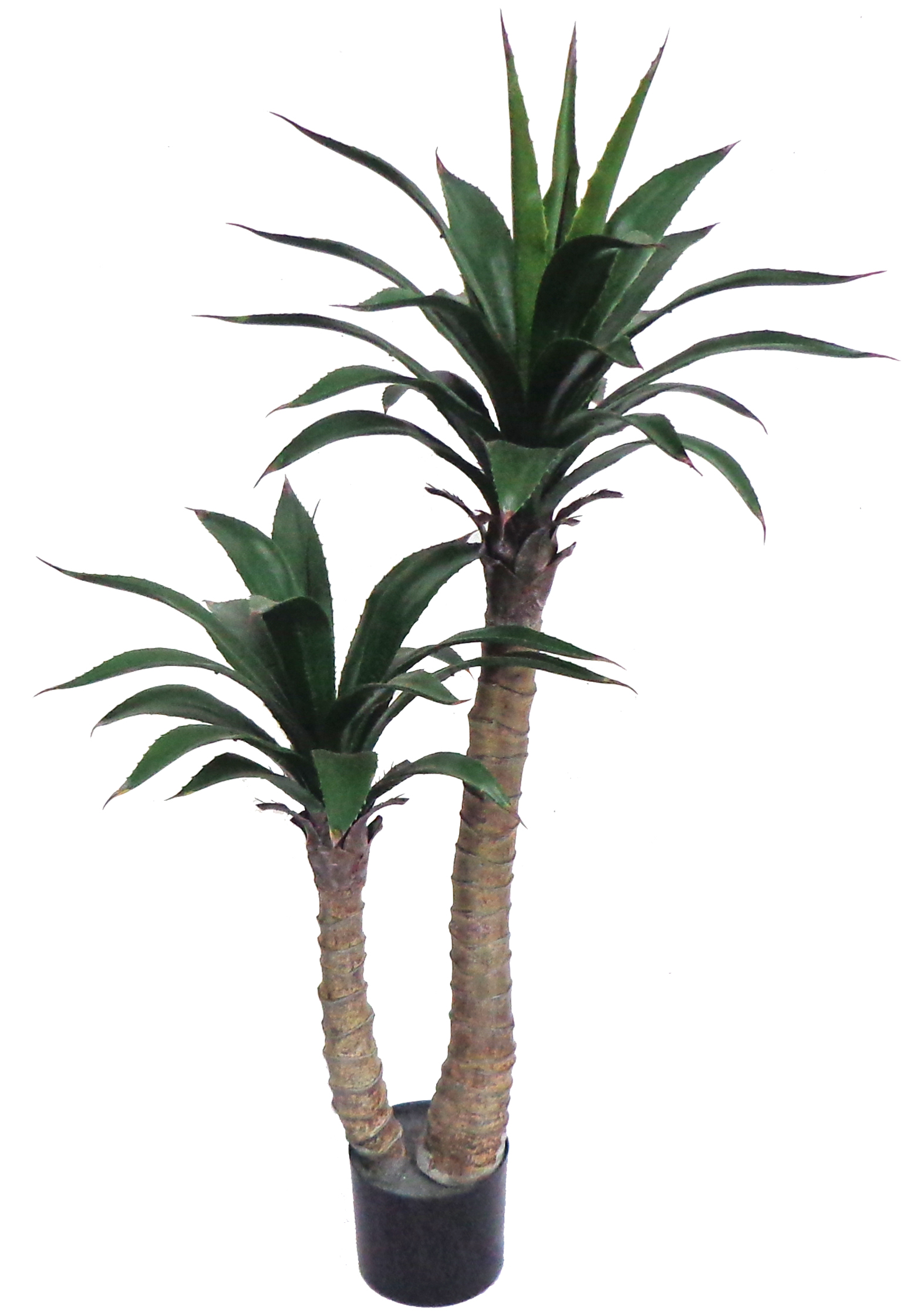 50” UV Resistant Plastic Small Agave Plant x2 w/44 Lvs