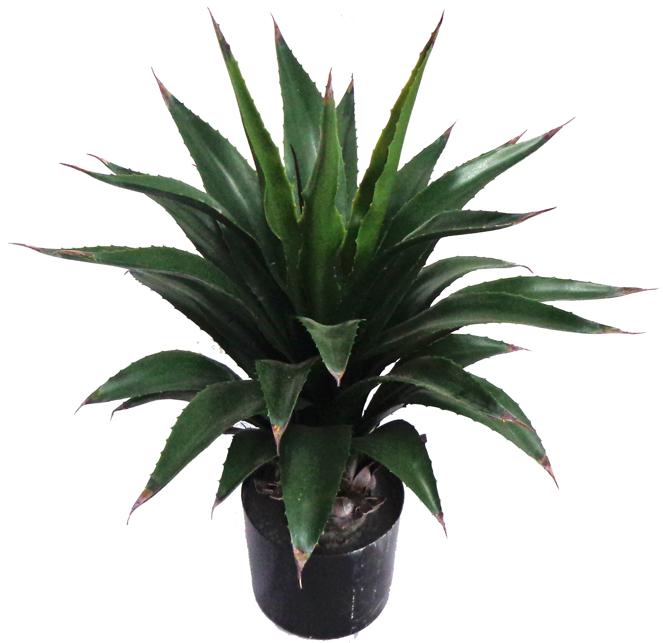 26” UV Resistant Plastic Small Agave Plant w/34 Lvs