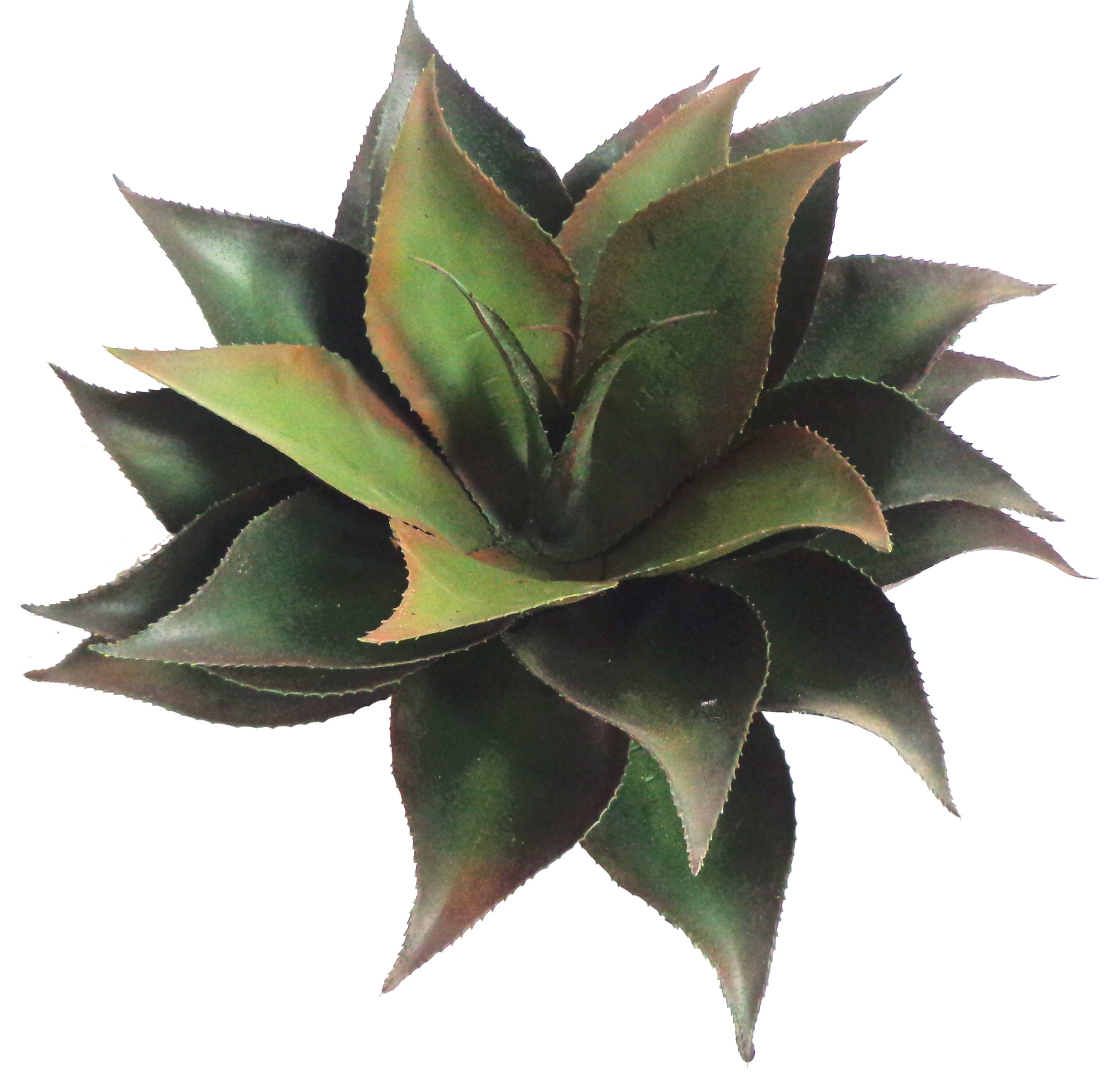 22” UV Resistant Plastic Agave Plant w/27 Lvs