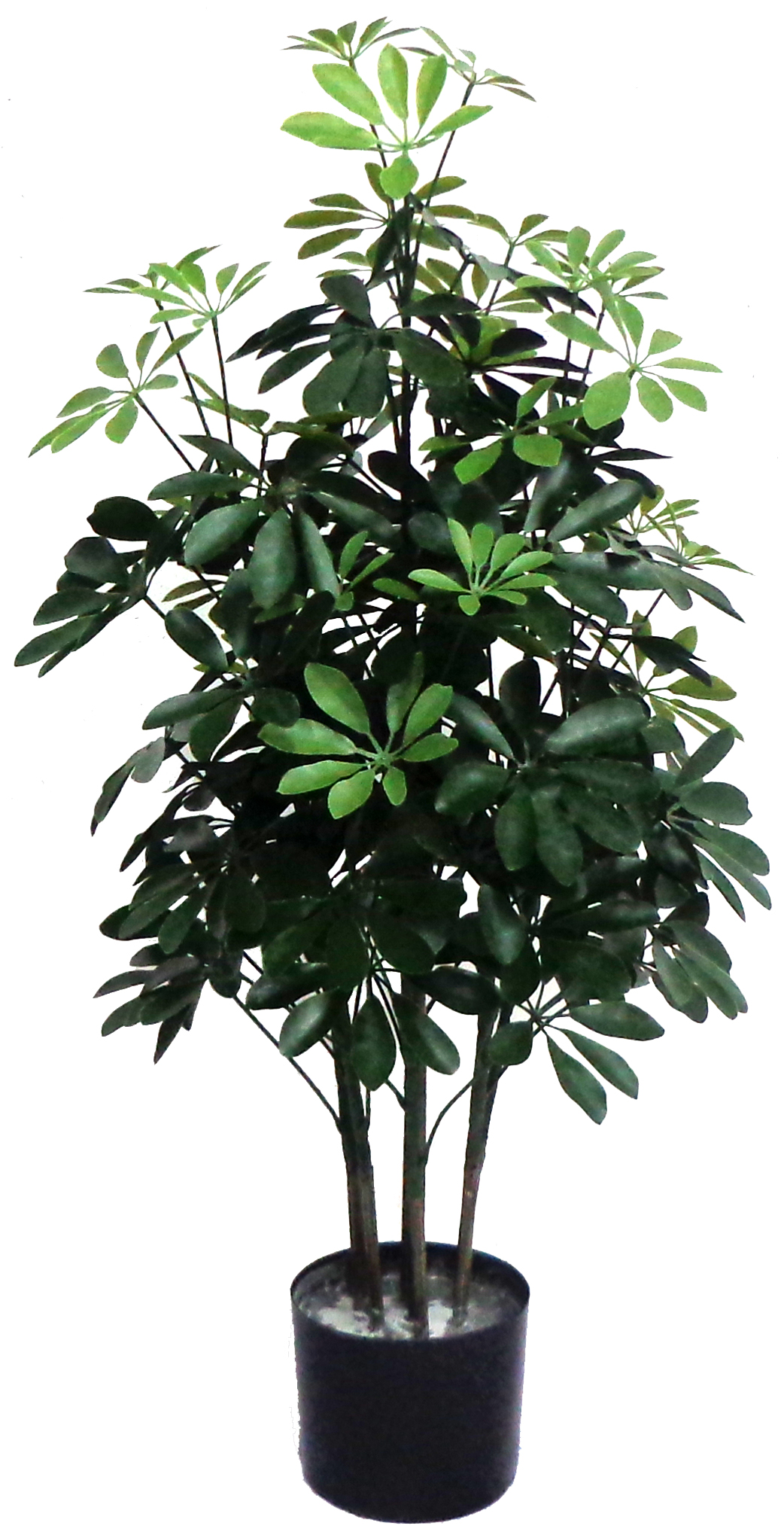 36” UV Resistant Plastic Pittosporum Tree x7w/ 86Lvs.