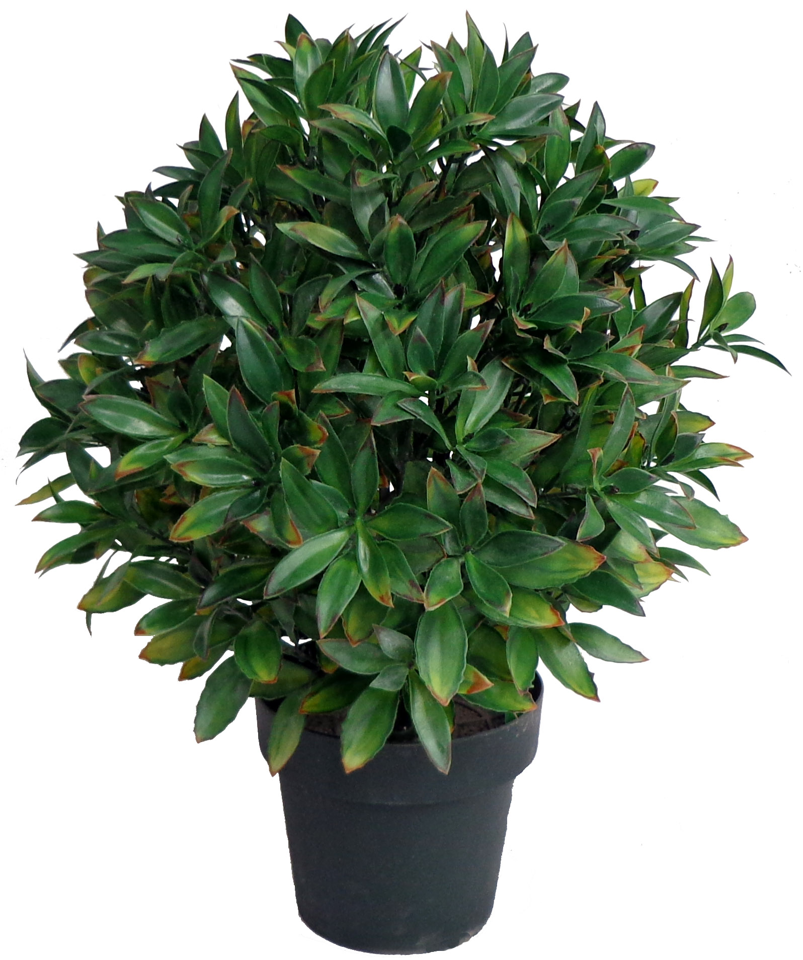 24 IN. UV Resistant Plastic Magnolia Leaf Topiary W/552 LVS