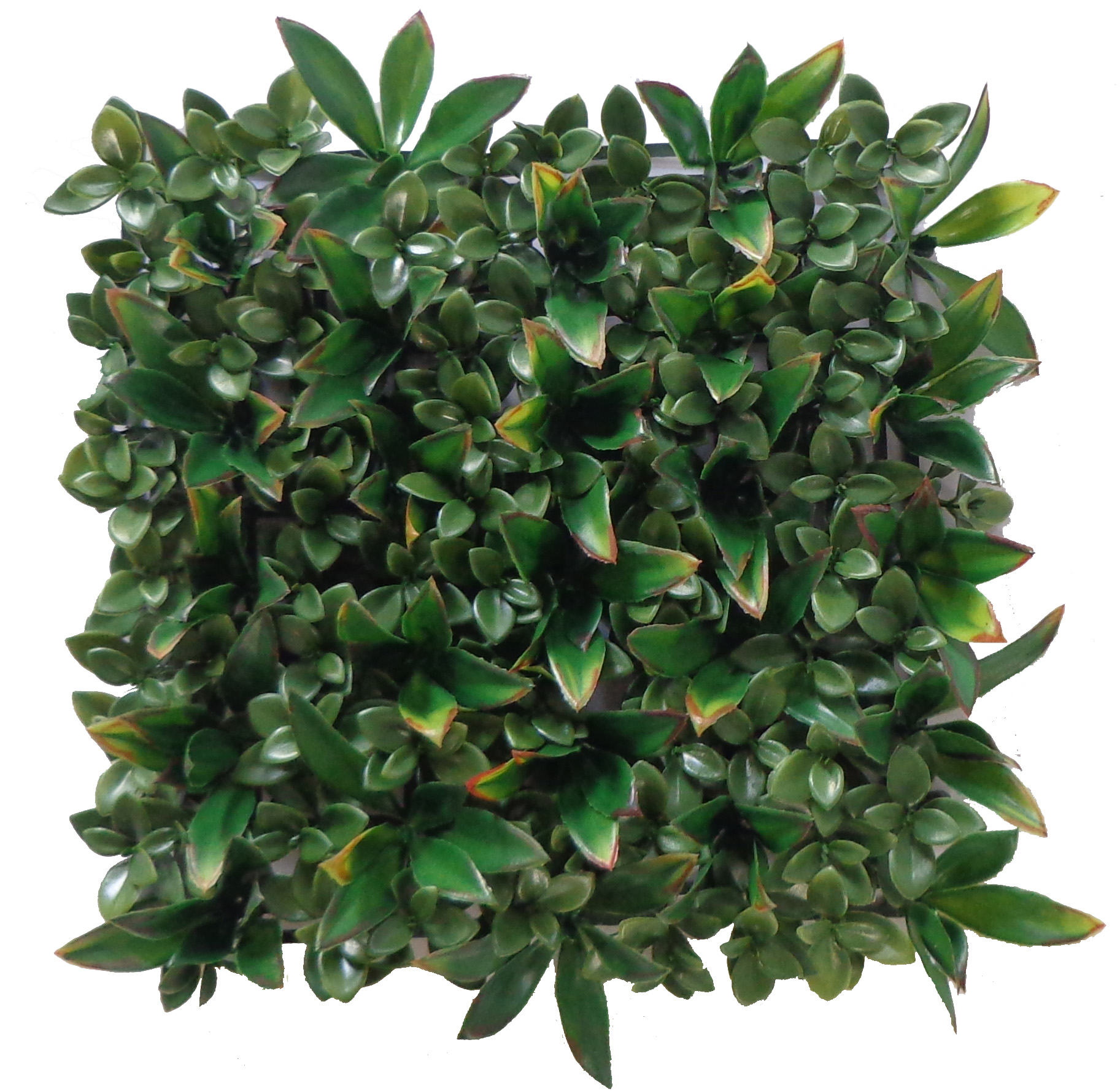 10.5” x 10.5” UV Resistant Plastic Nematanthus and Magnolia Leaf Floor Mat w/ 100Lvs.