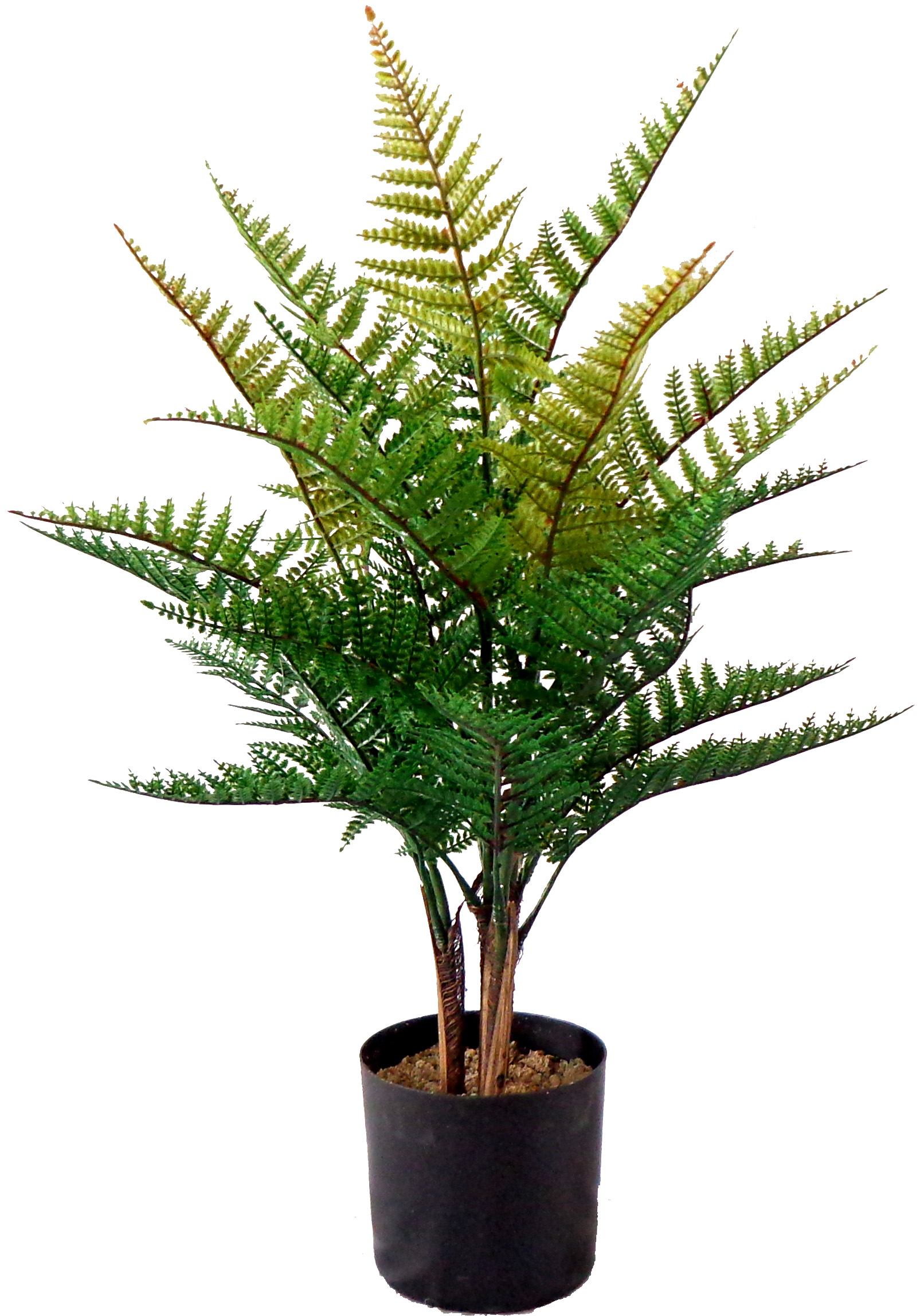 24″ UV Resistant Plastic Leather Fern Plant x4 w/ 31Lvs.