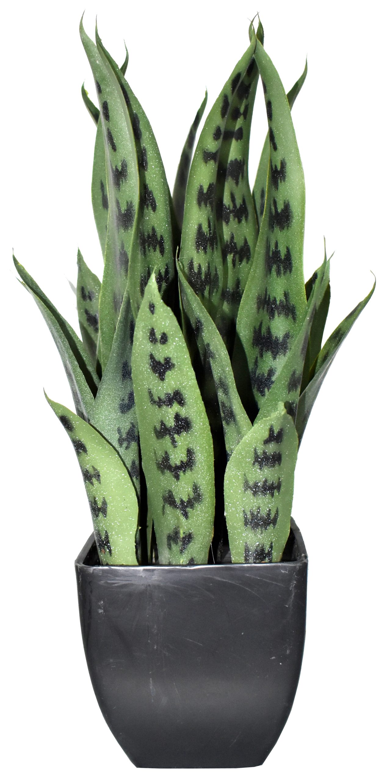 16″ UV Resistant Plastic Snake Plant x9 w/27Lvs.