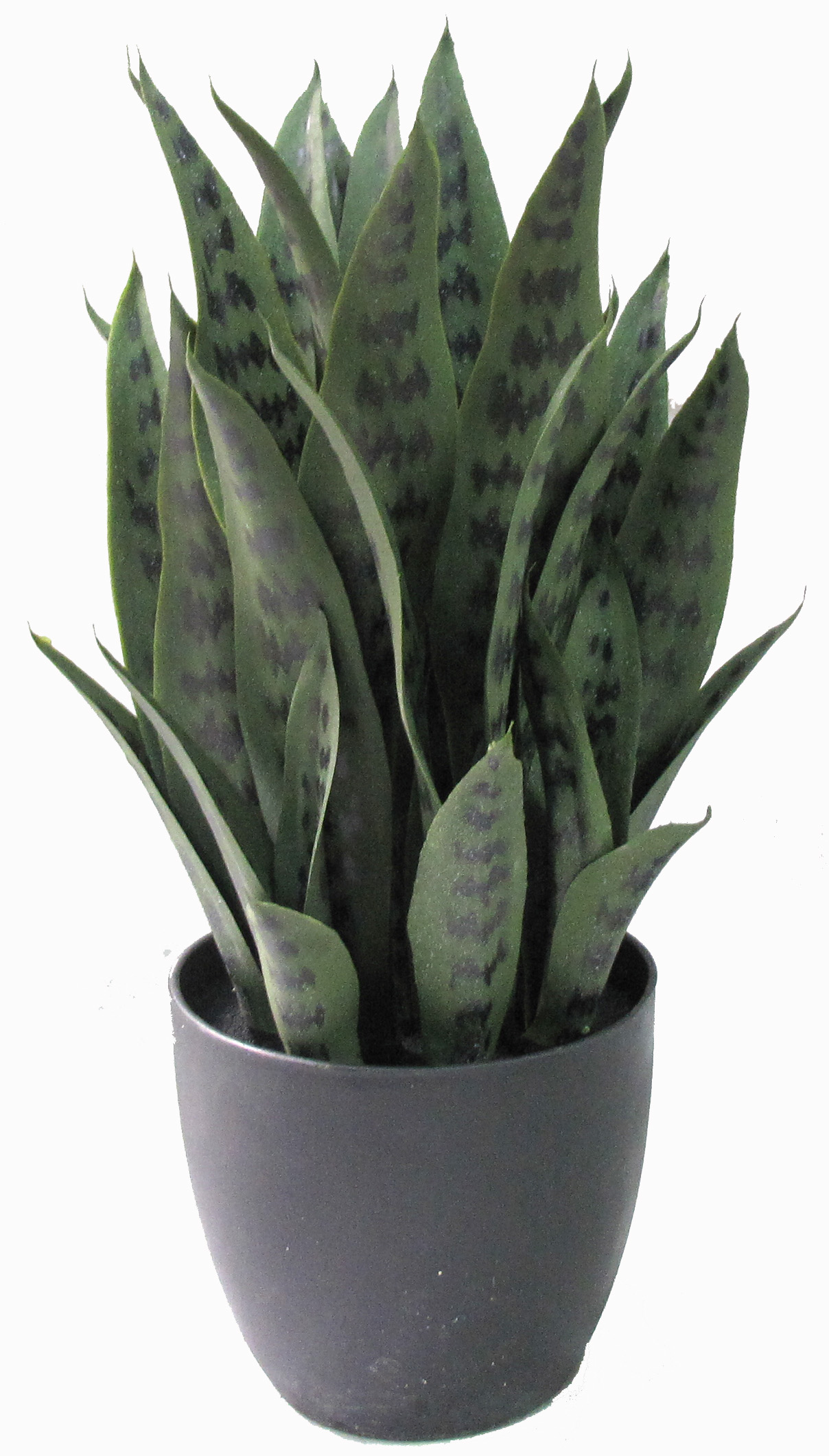 20″ UV Resistant Plastic Snake Plant x13 w/39Lvs.