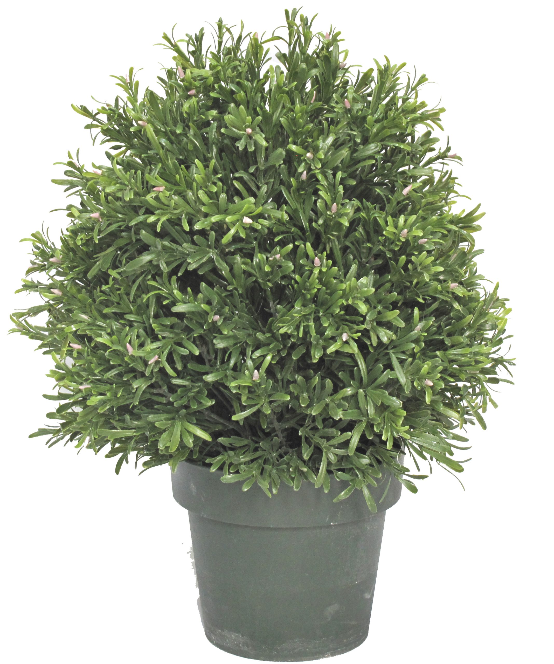 20 IN. UV Resistant Plastic Rosemary Topiary W/624 LVS, W/94 Berries,