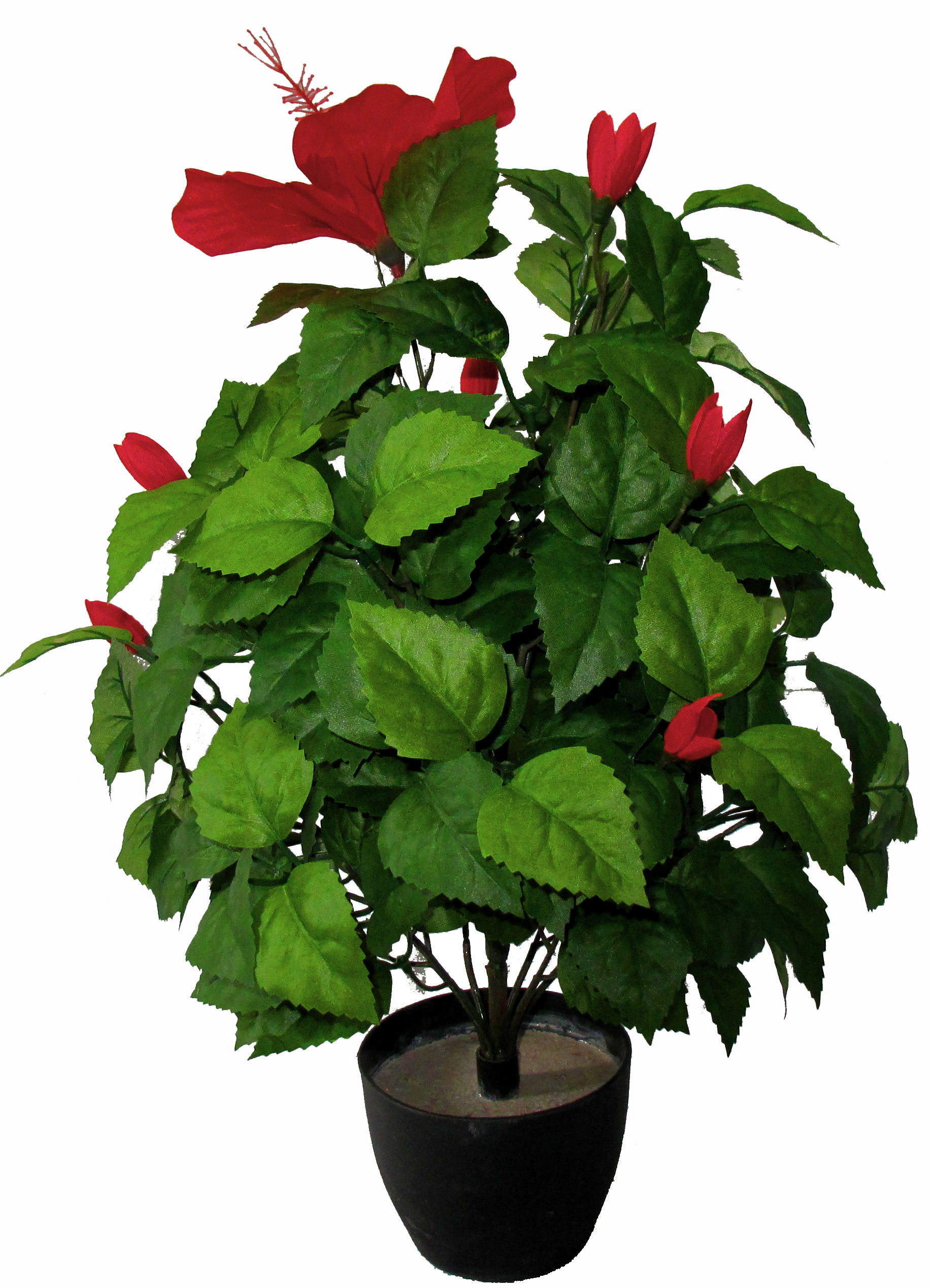 20″ Hibiscus Flower Bush x16 w/ 190Lvs, 7Flowers