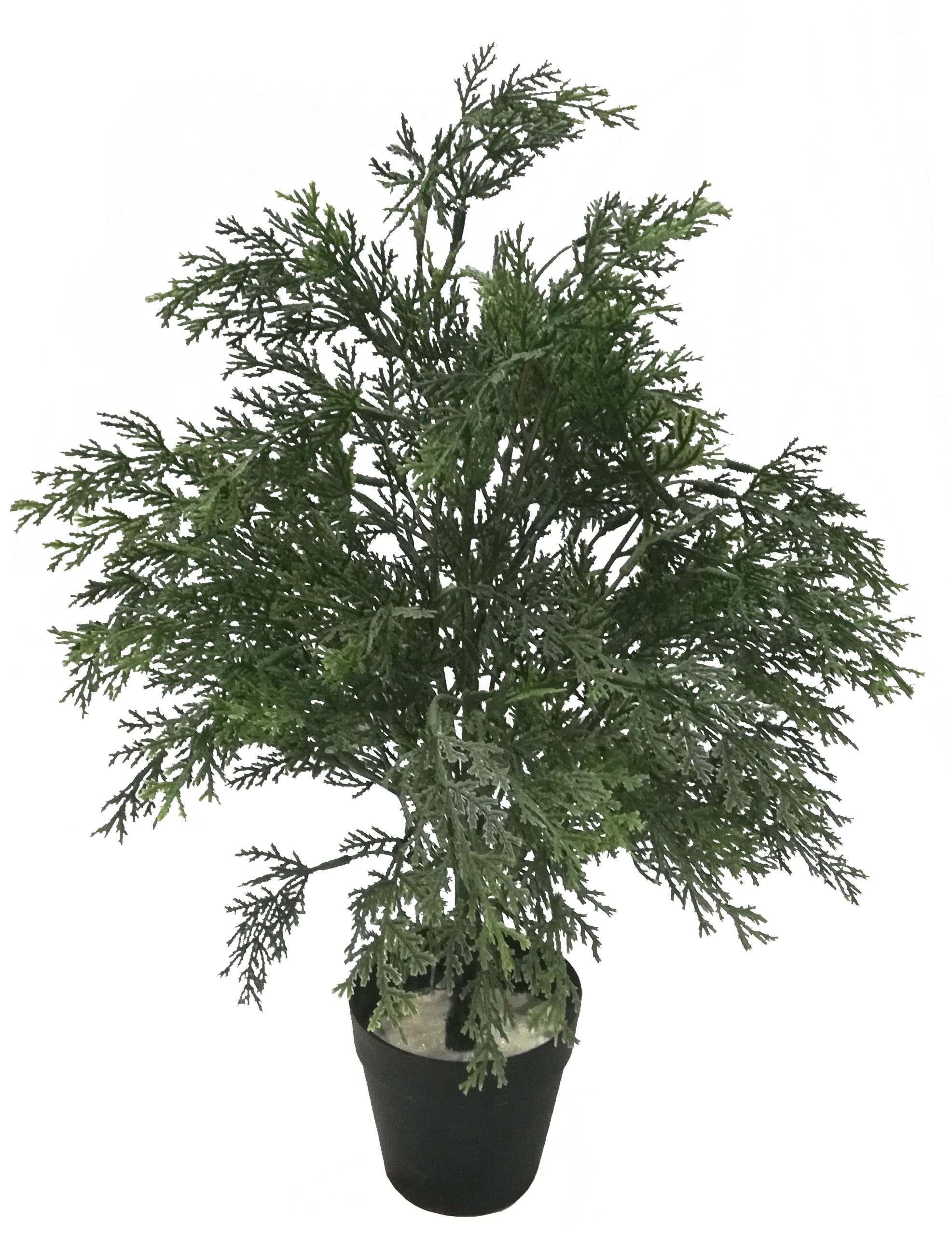 20.5″ UV Resistant Plastic Mini Cedar Bush x16 w/ 104Lvs.
