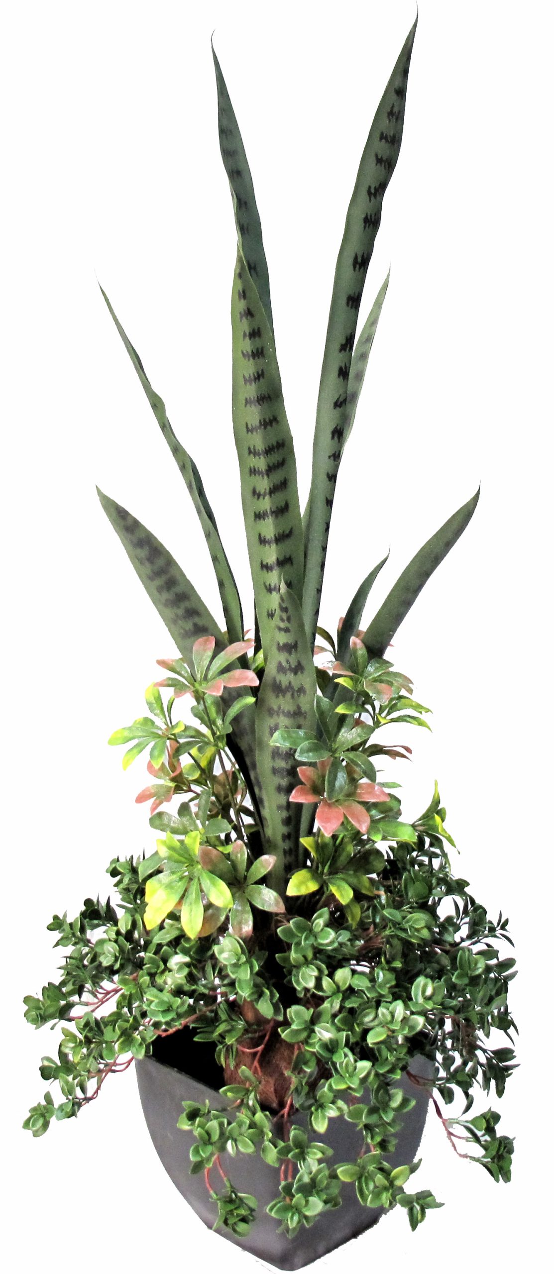 46” UV Resistant Plastic Assorted Grass Snake Plant w/ 287lvs.
