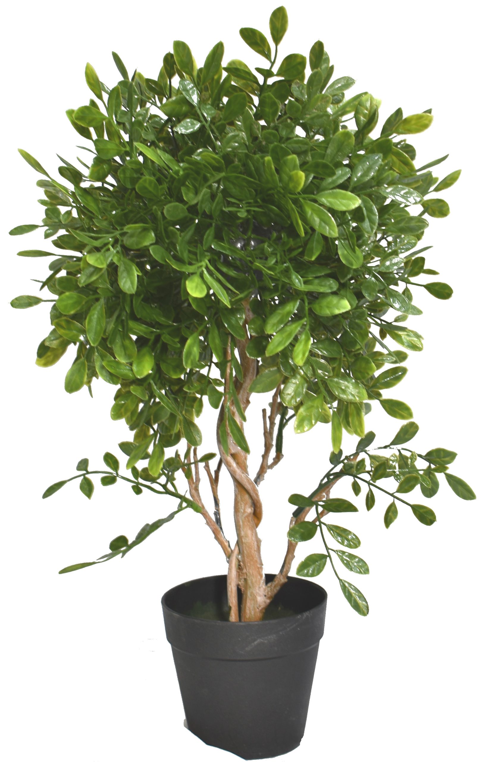 17″ UV Resistant Plastic Murraya Small Plant w/53Lvs.