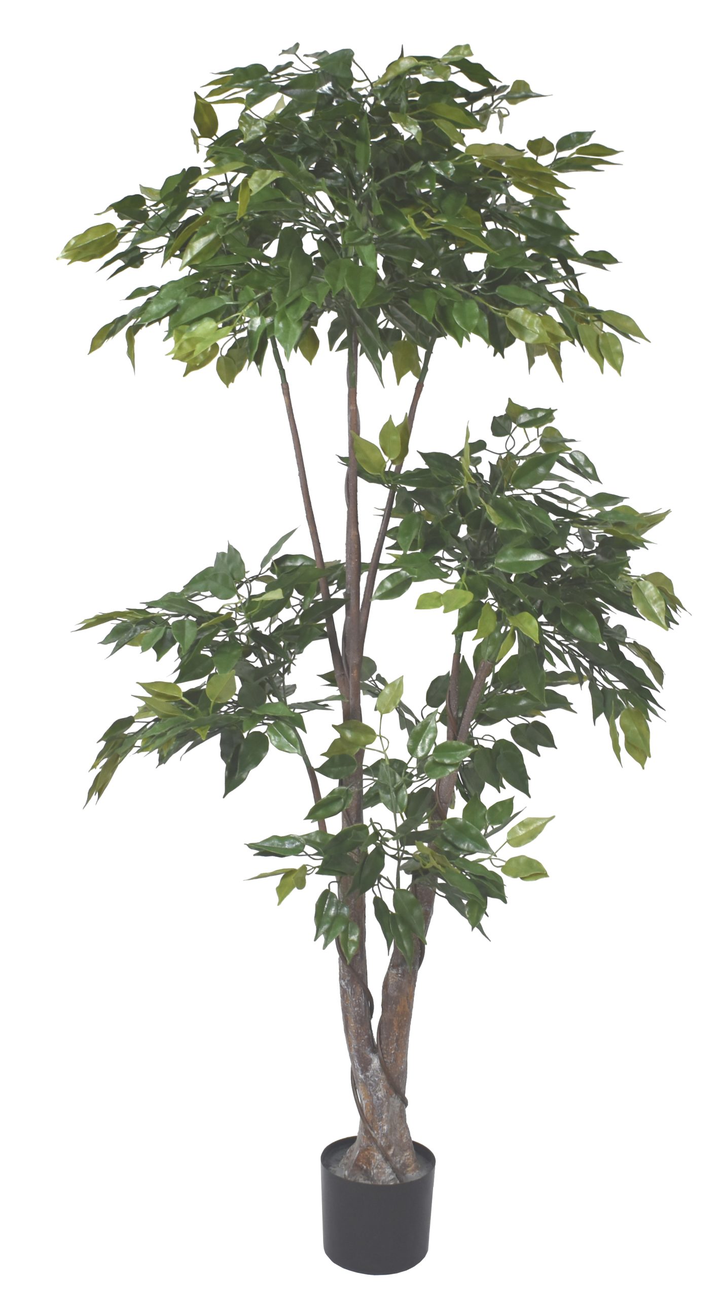 66” UV Resistant Plastic Ficus Tree x5 w/1038Lvs.