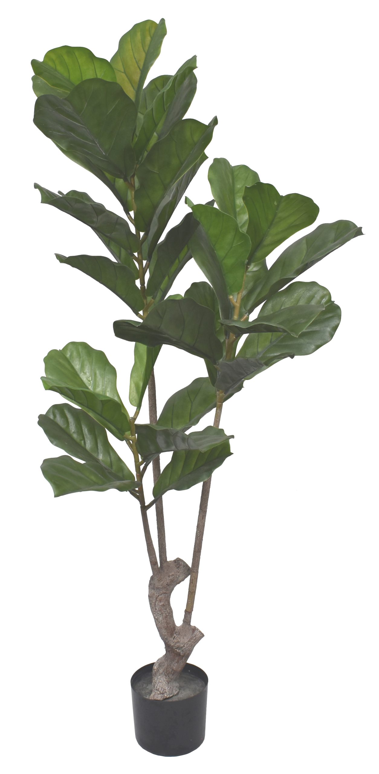 60″ UV Resistant Plastic Giant Fiddle Tree x3 w/32Lvs.