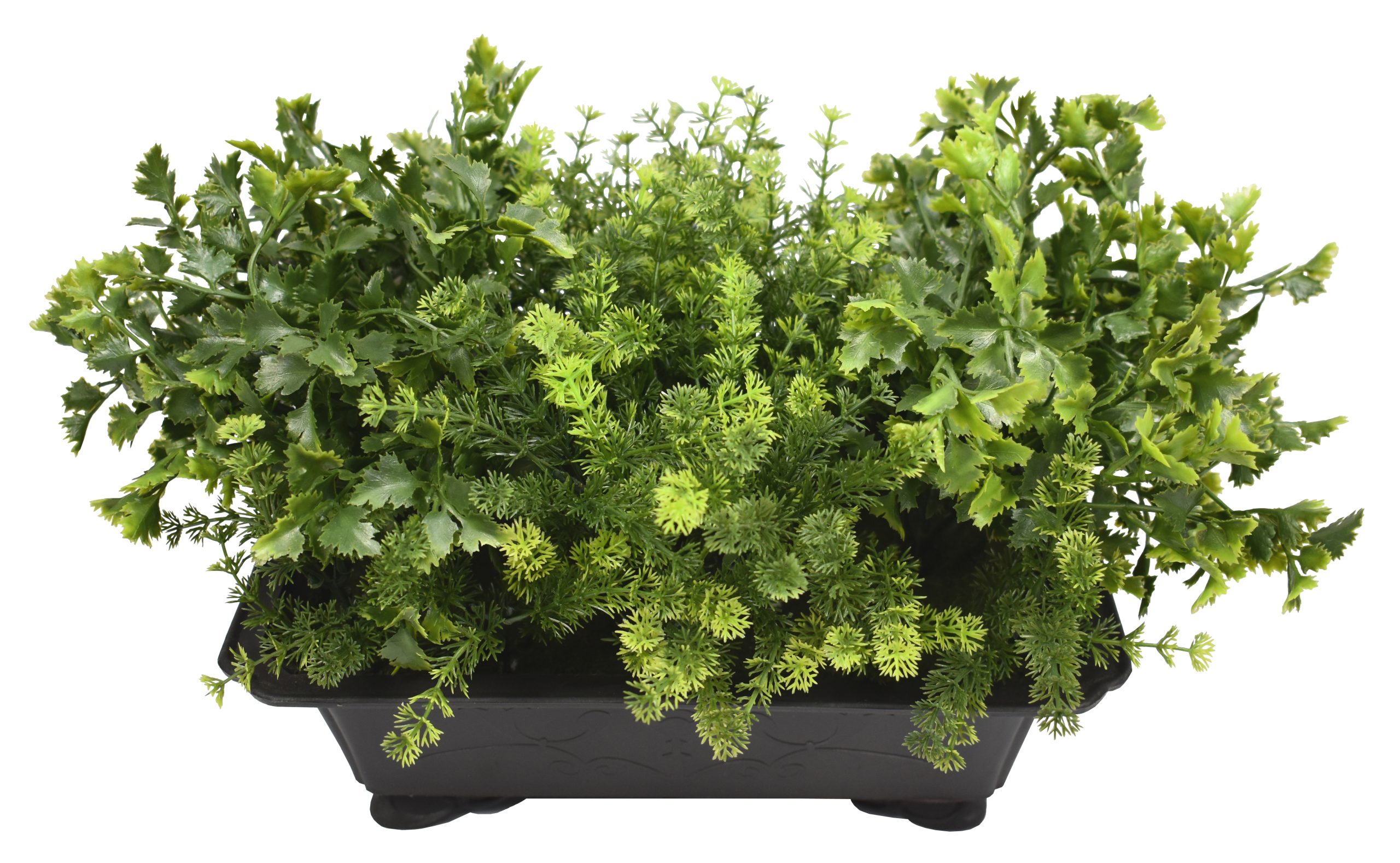 10″ UV Resistant Plastic Waterweeds Grass Assorted Bonsai w/256Lvs.