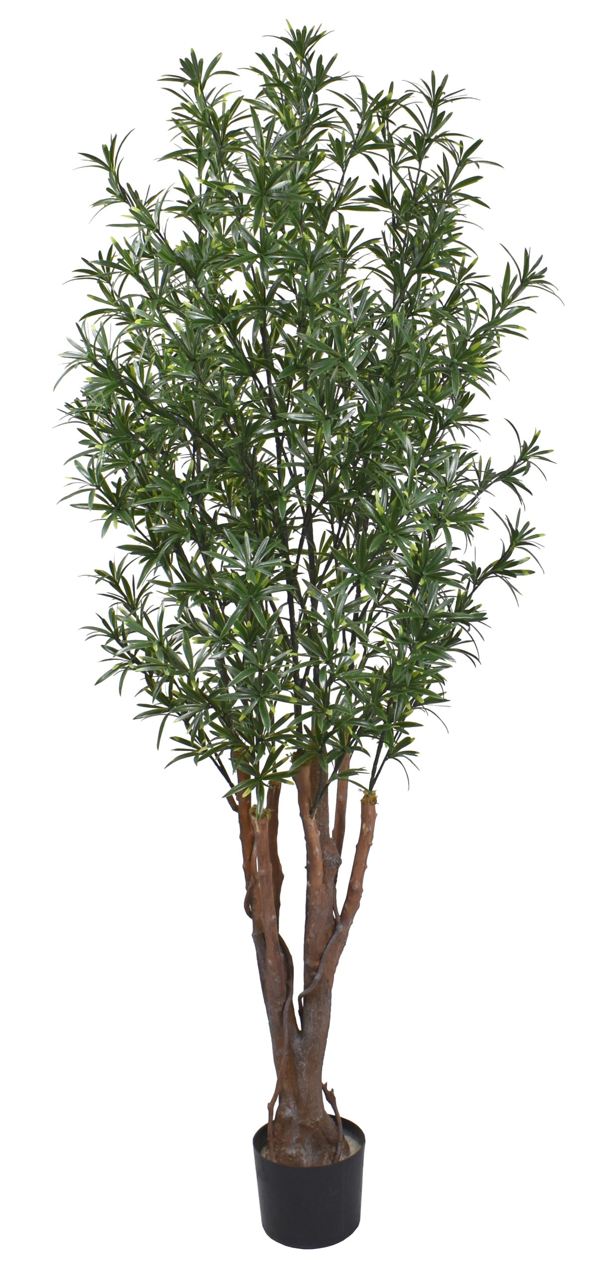 72″ UV Resistant Plastic Podocarpus Tree w/876Lvs.
