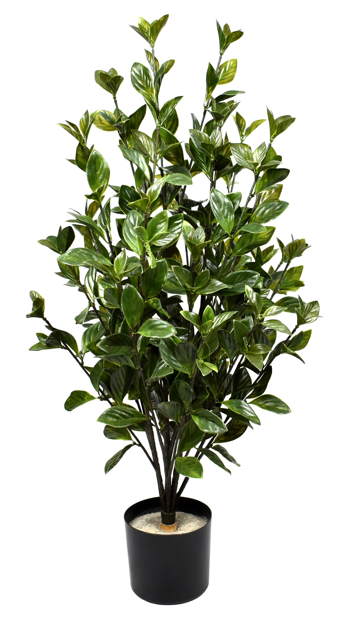 31.5″ UV Resistant Plastic Gloxinia Spray x8 w/480Lvs.