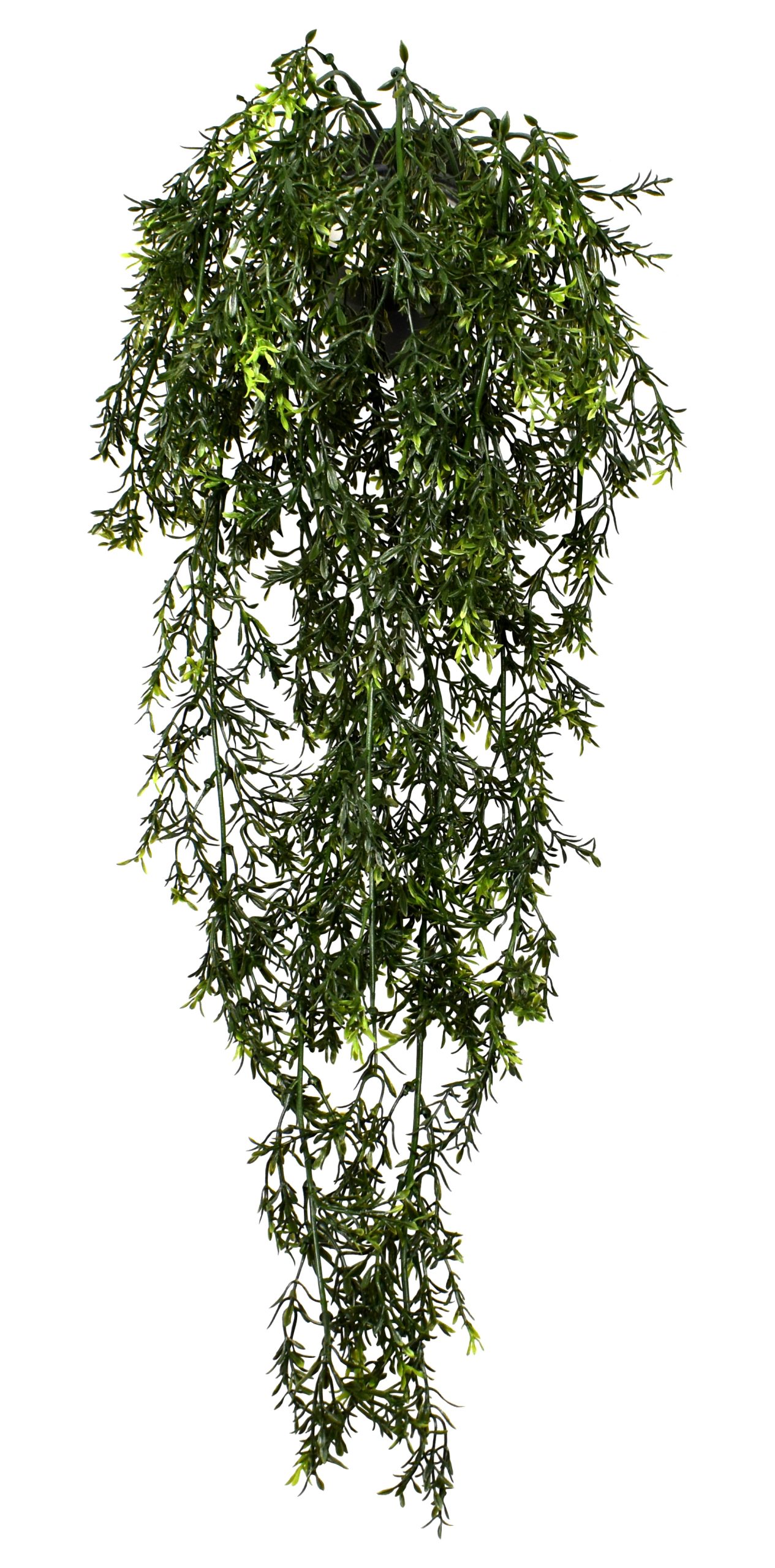 35″ UV Resistant Plastic Mini Hedyotis Bush x13 w/211Lvs.