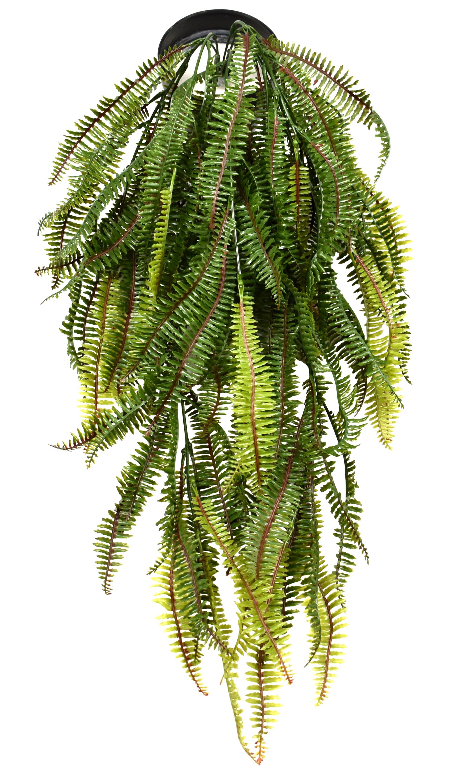 30″ UV Resistant Plastic Small Boston Fern Bush x8 w/106Lvs.